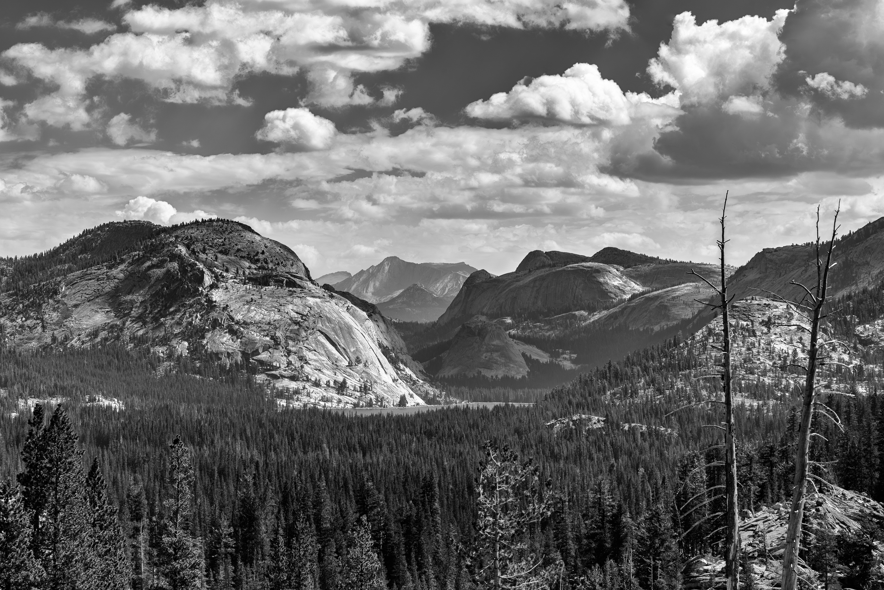 Le parc national de Yosemite, Sierra Nevada, à l'est de l'État de Californie.