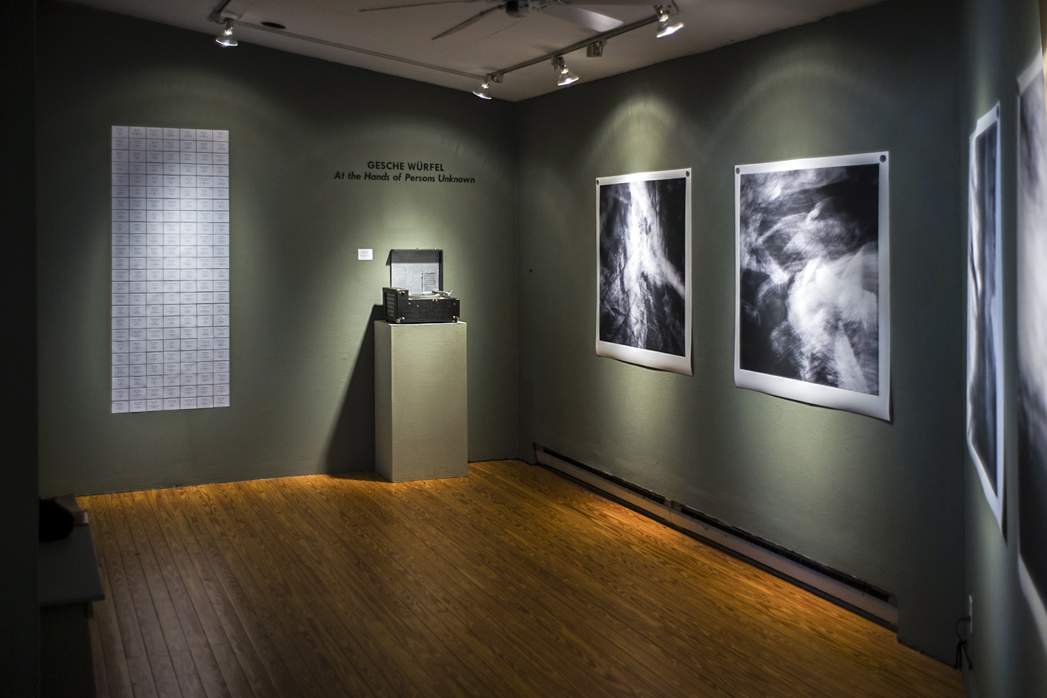 At the Hands of Persons Unknown | Center for Photography at Woodstock (CPW), USA | 2018 | Image by Jaime Permuth