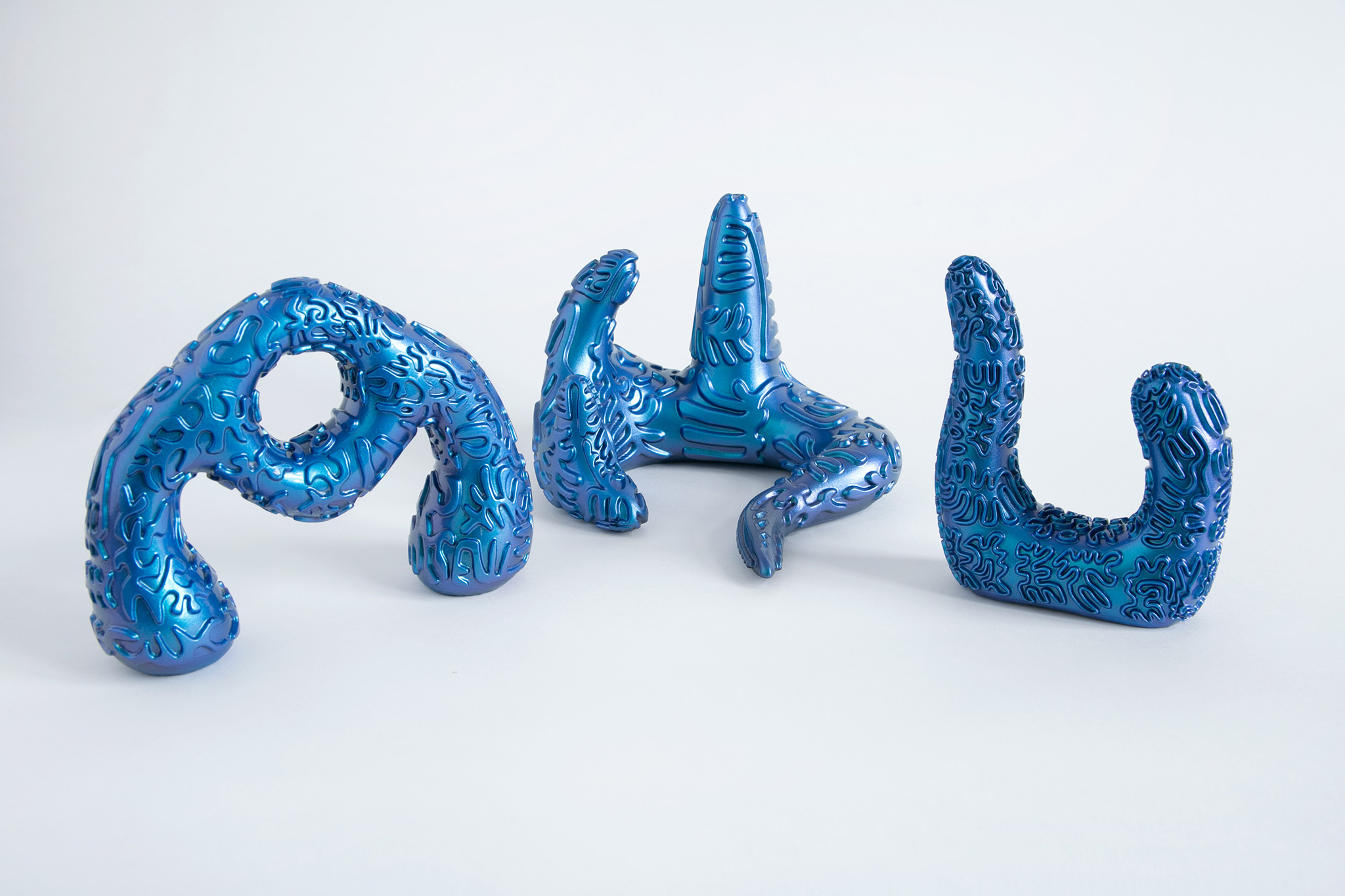 The Elusiveness Of Objects And Worlds - Elisa Hösch