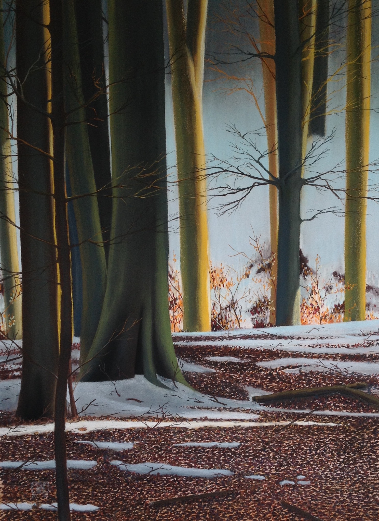 104–Winterwald 366×90 cmPastell auf Fabrianopapier2016︎ Bild kaufen