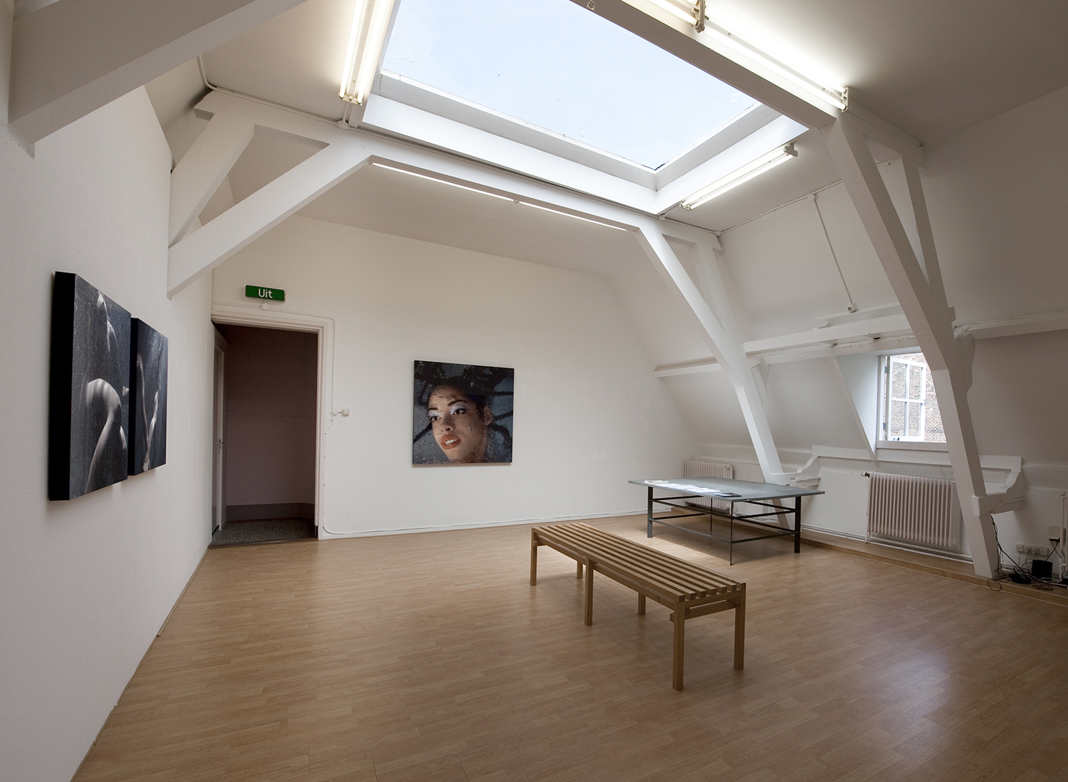 Solo Flatland Gallery Utrecht 2011