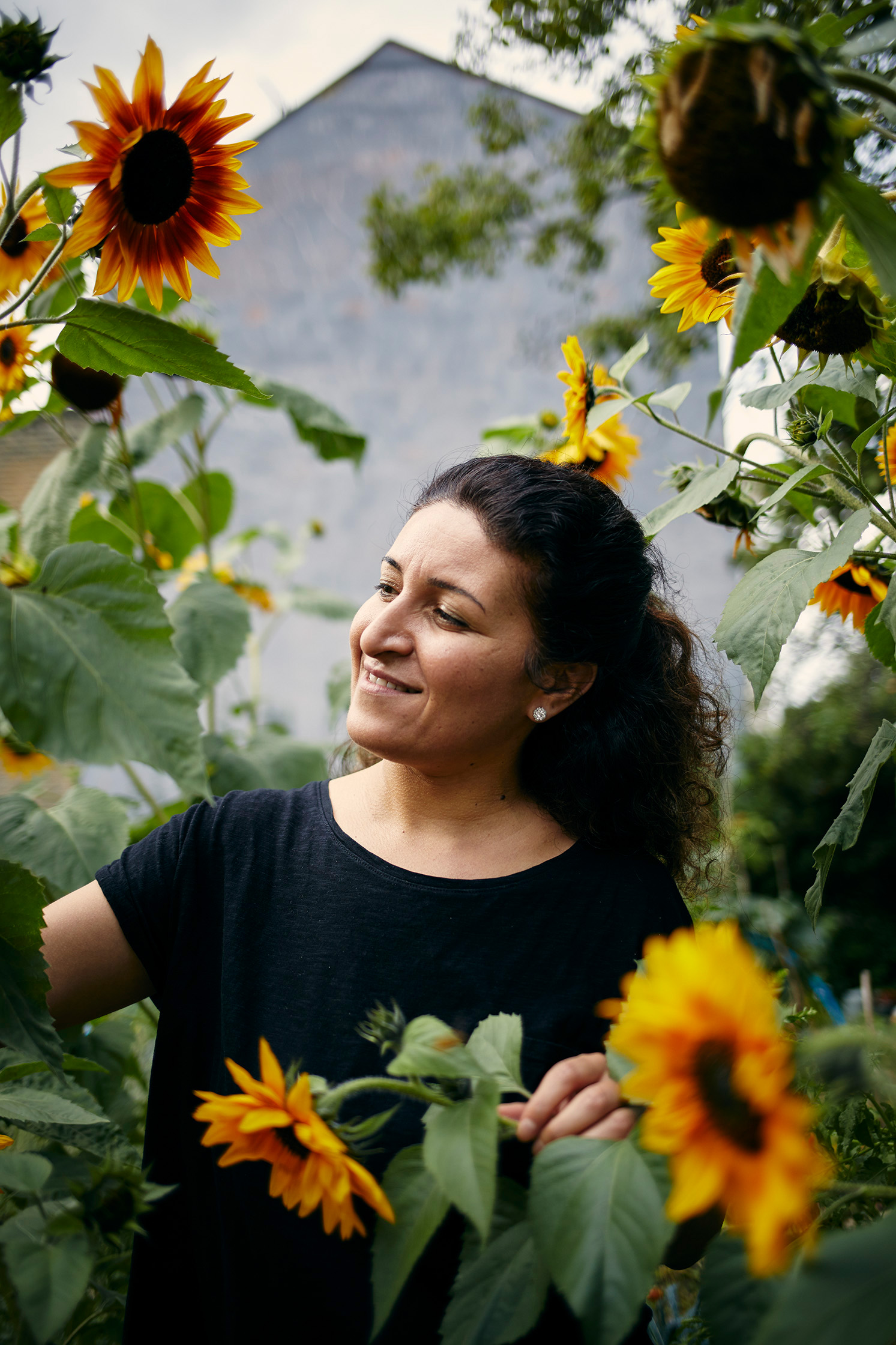 Seed Sovereignty / Gaia Foundation