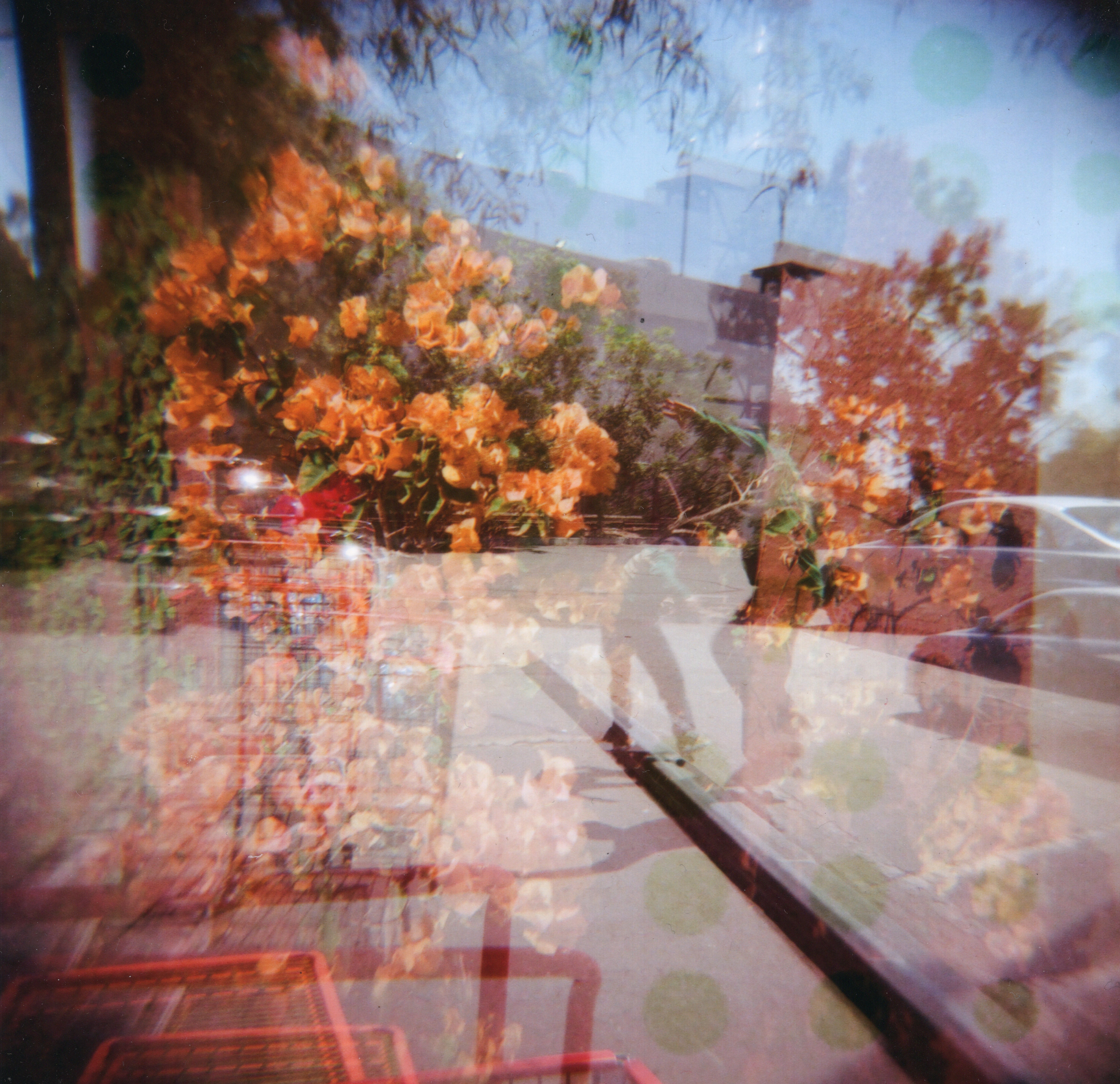 Aaron Baker Costco curbs LA 2022