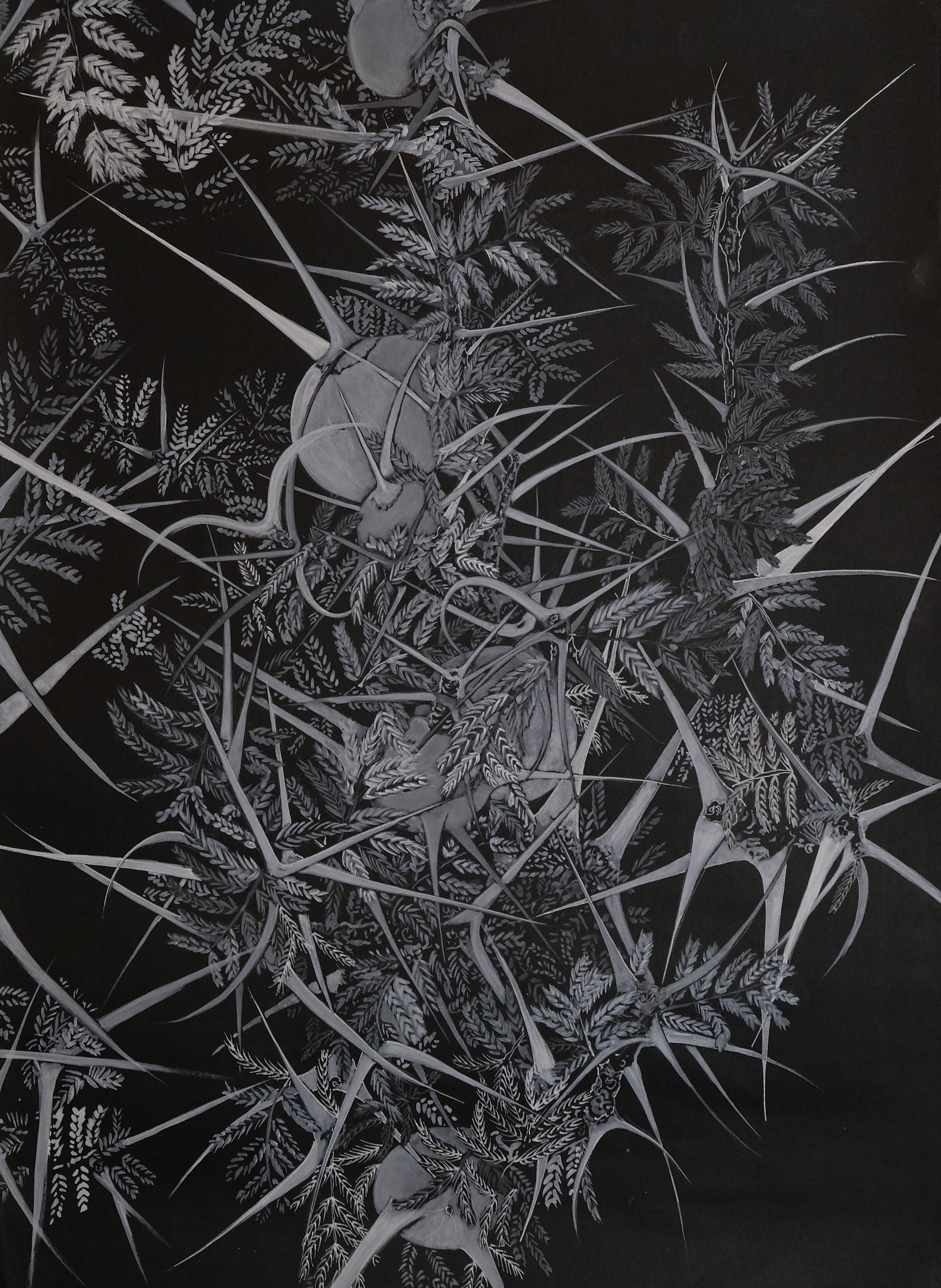 Acacia Cornigera, 2018 - Mixed media on paper - 58x42 cm