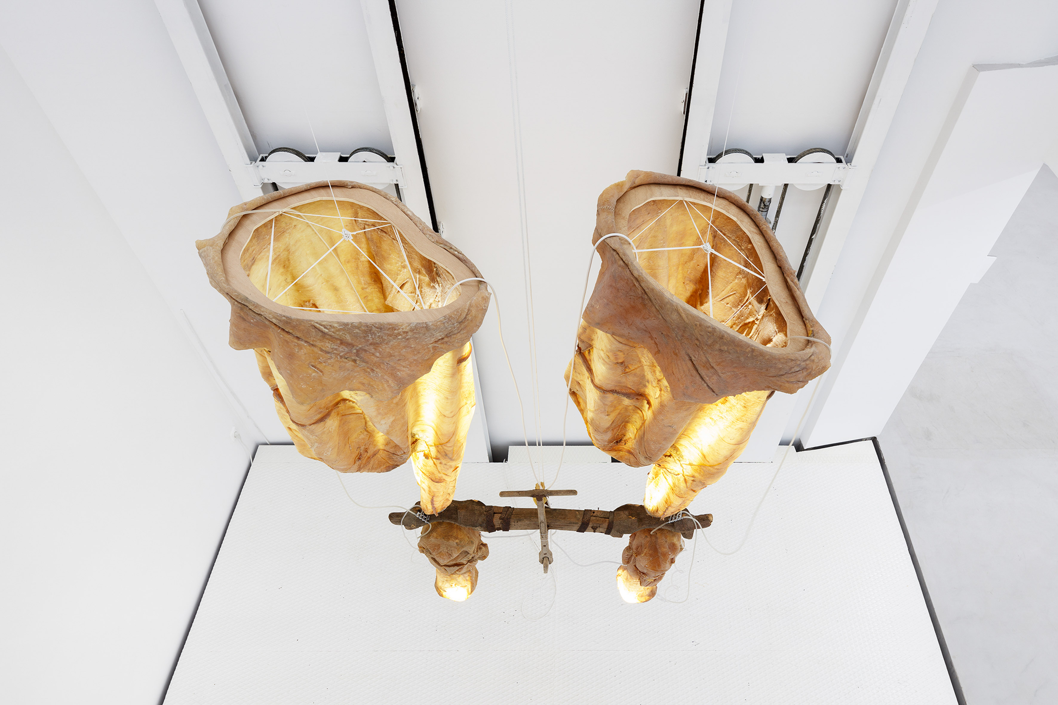 Clepsydre, 2022, Manon Harrois, Latex, solid wood, ropes, water pump, air pump, light, water, pipes, variable dimensions