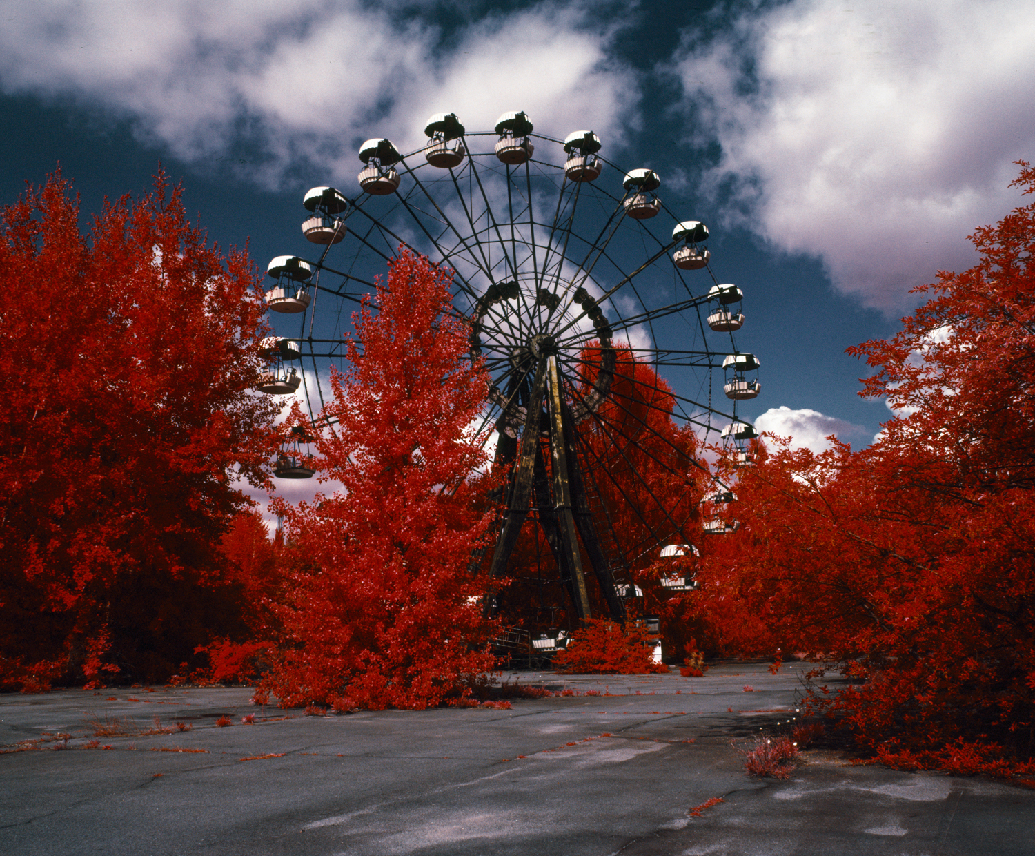 The Unseen: An Atlas of Infrared Plates - Edward Thompson