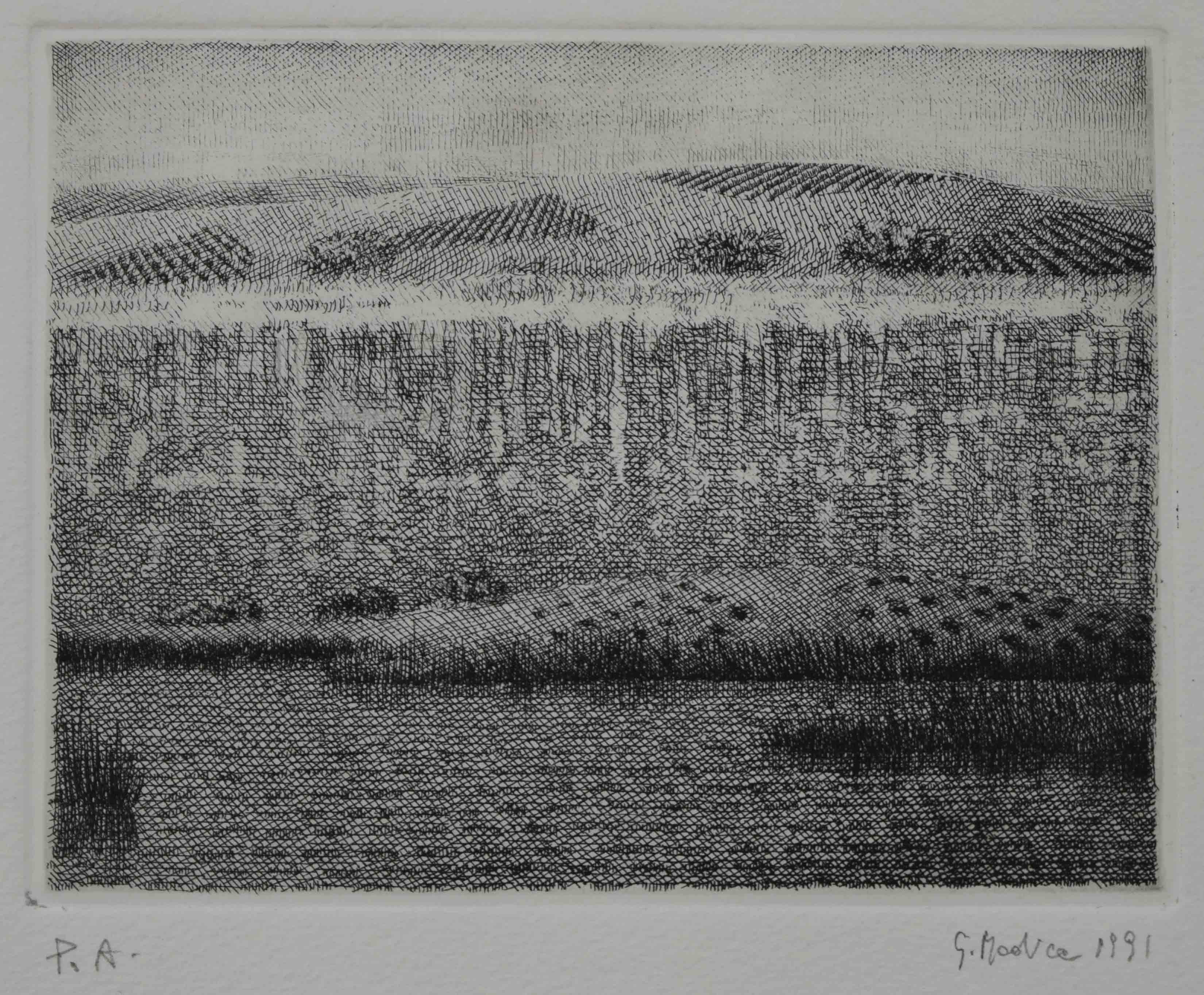 Lago a S.an Nicola,1991, acquaforte su zinco, mm.123x155