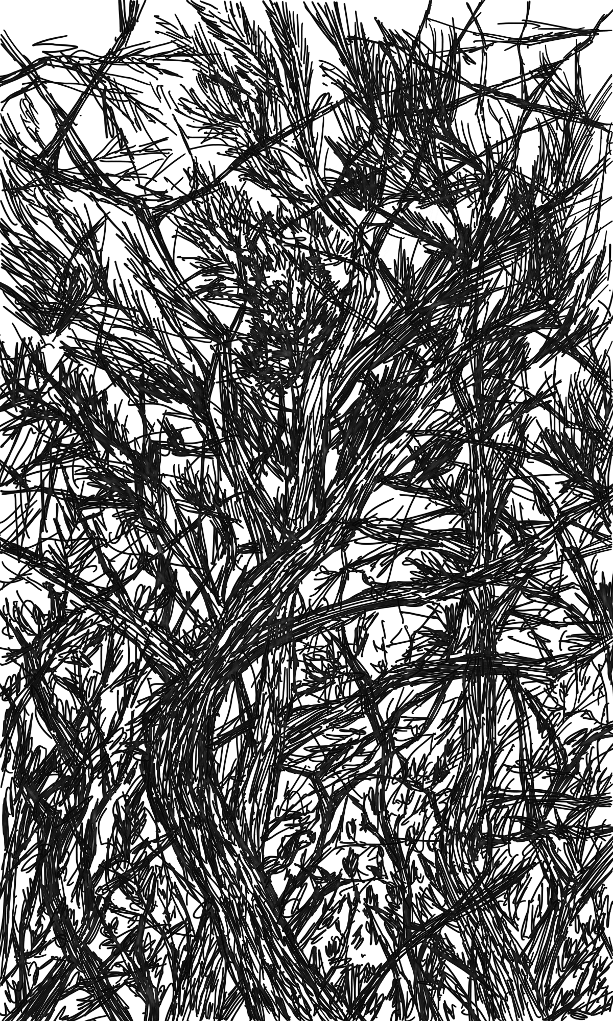 사소한 뿔_Trivial horn_digital drawin_2021