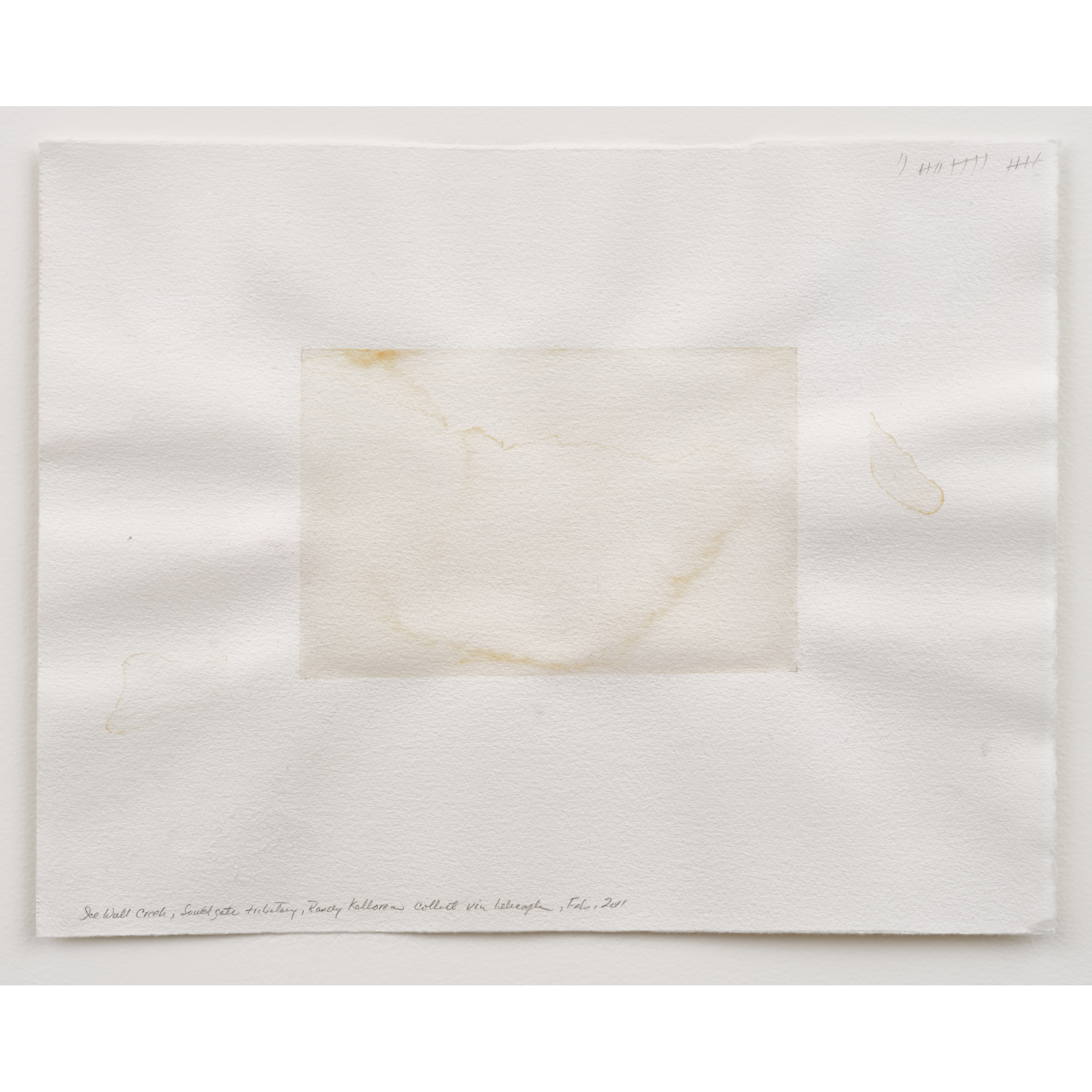 Judith Williams, Icefall Creek into the Southgate River, 2011. 28 x 35 cm / 11 x 13 1/2 in. Creek water on paper (20 layers). Collected by Randy Kelloran via helicopter in February, 2011.