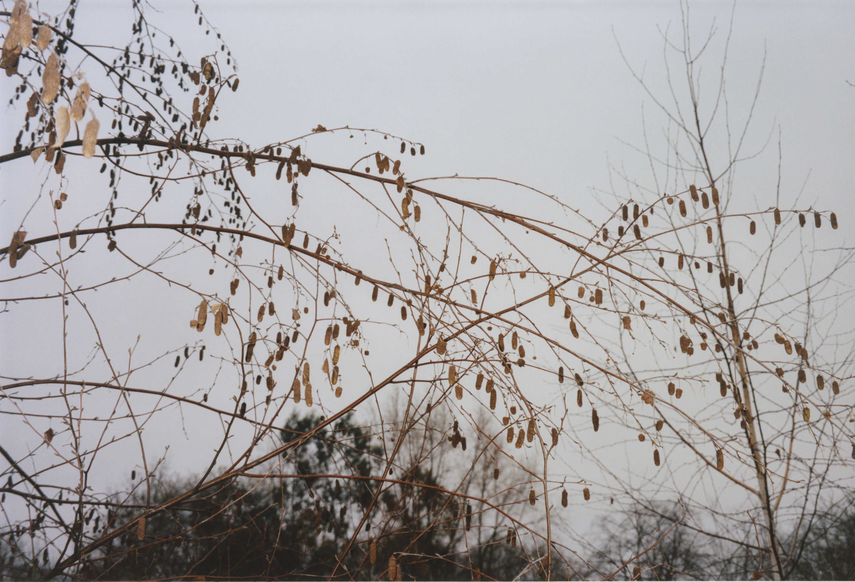 Index - Self Care Issue. (3/10)