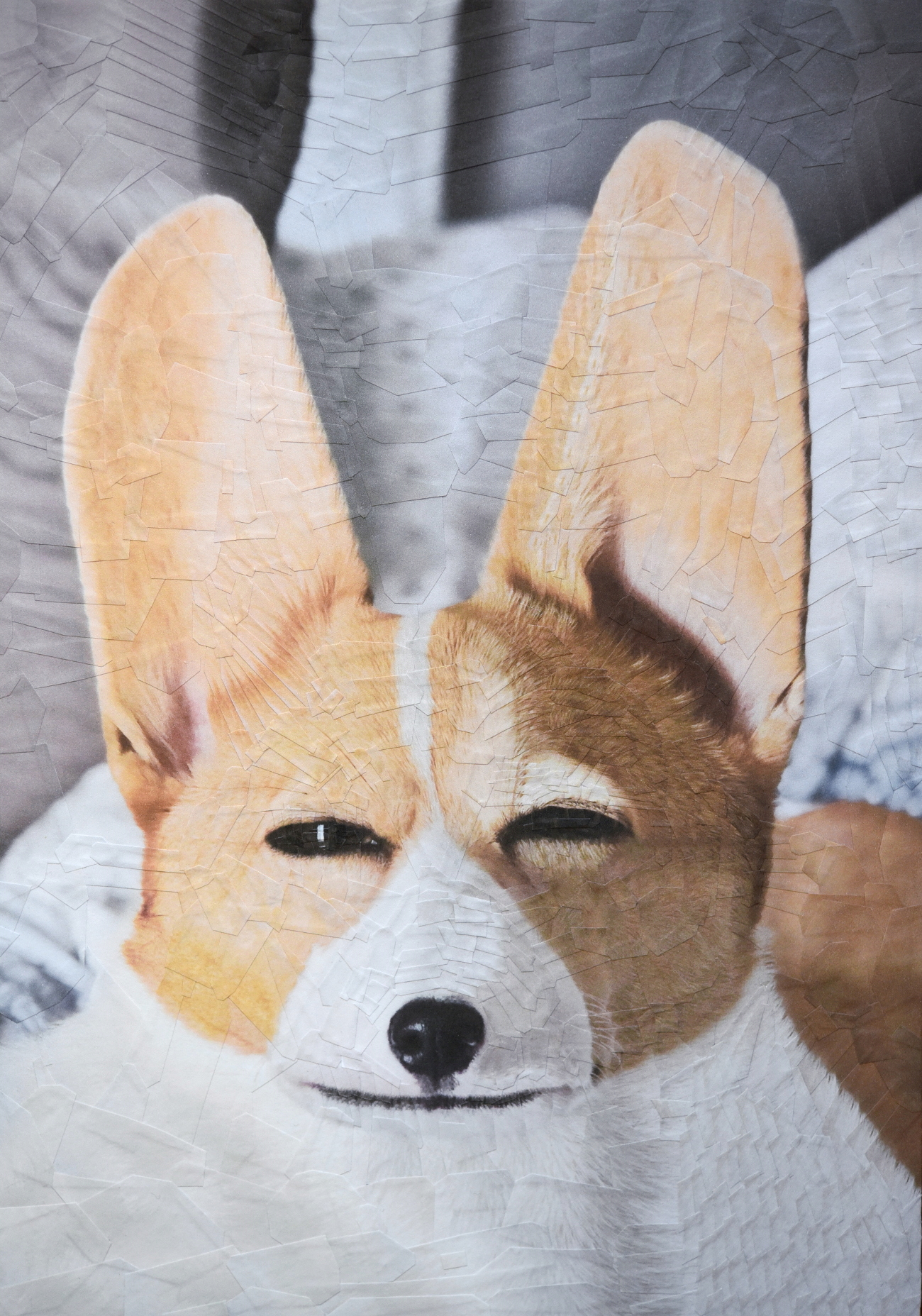 Annabelle, 2018, 8.2 x 11.6 inches