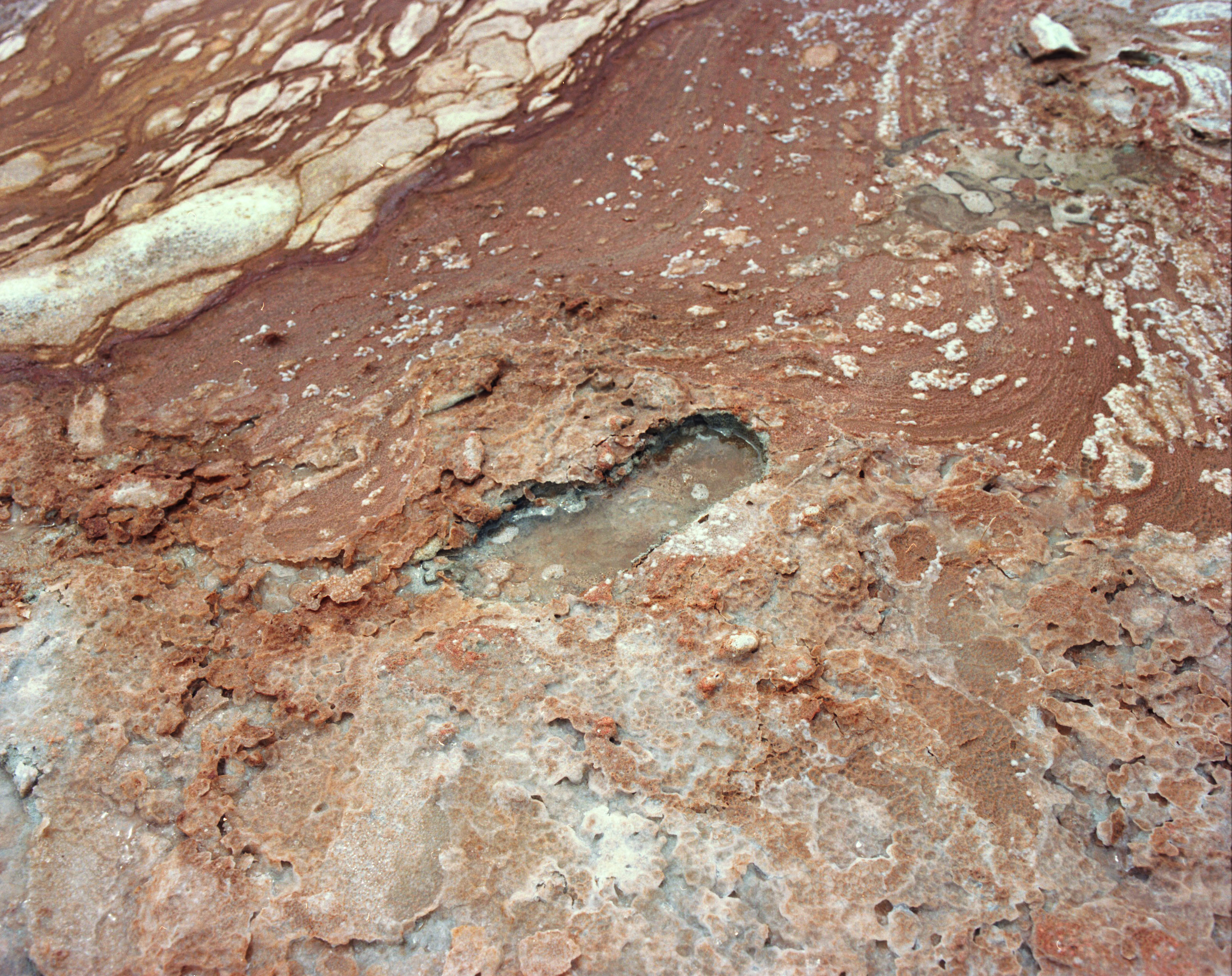 Residual Impression, 2020