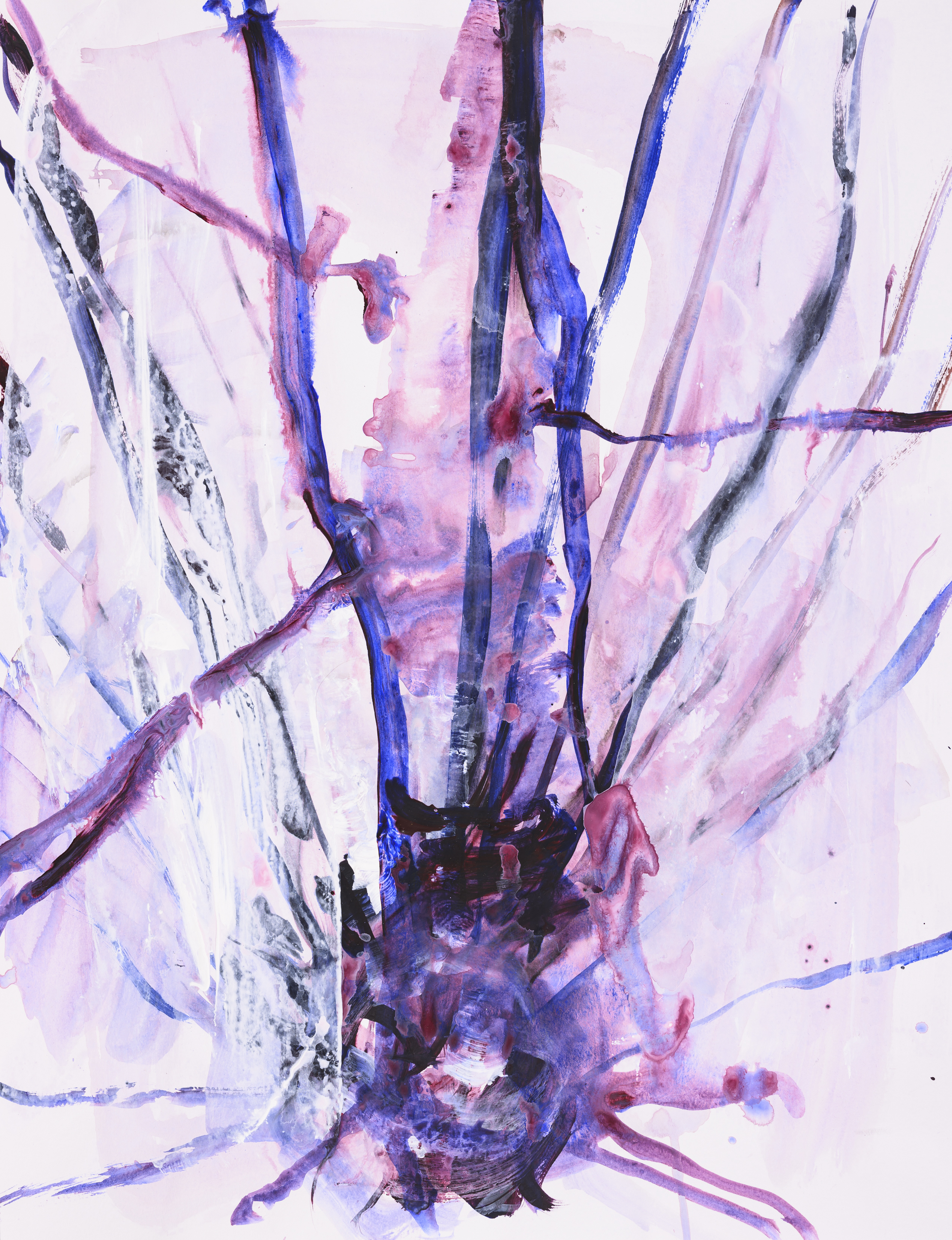 Study of nature 2038Acrylic on paper 65×50cm