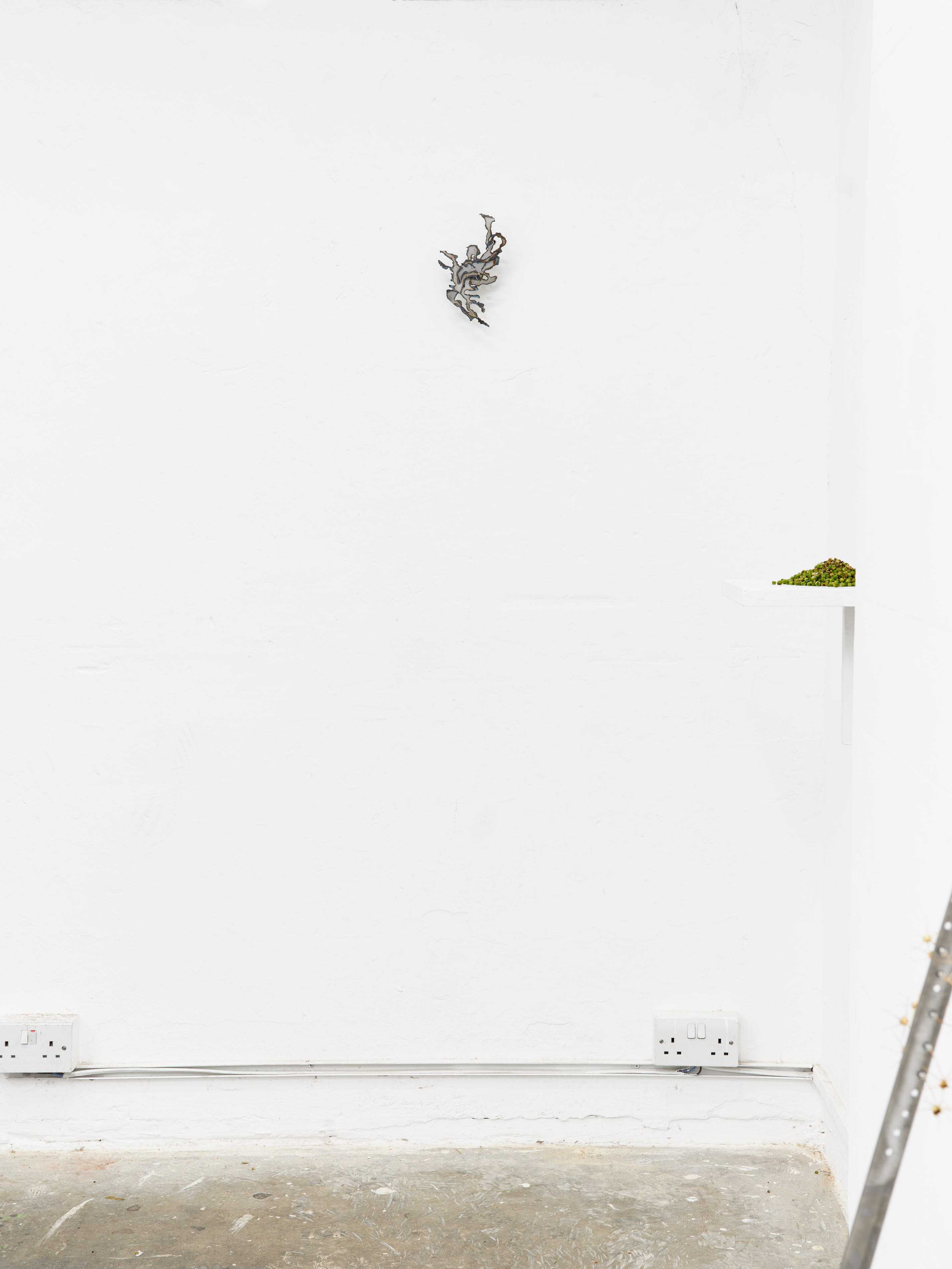 Installation view. Jasmine Pajdak [photo credit: M8R8S Studio]