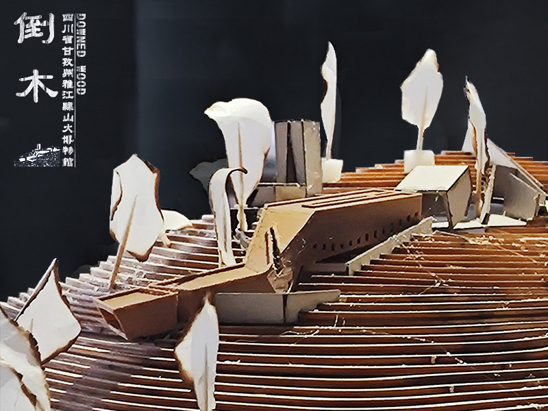 倒木——四川省雅江县甘孜州山火博物馆哈尔滨工业大学,姜诗渲,三年级