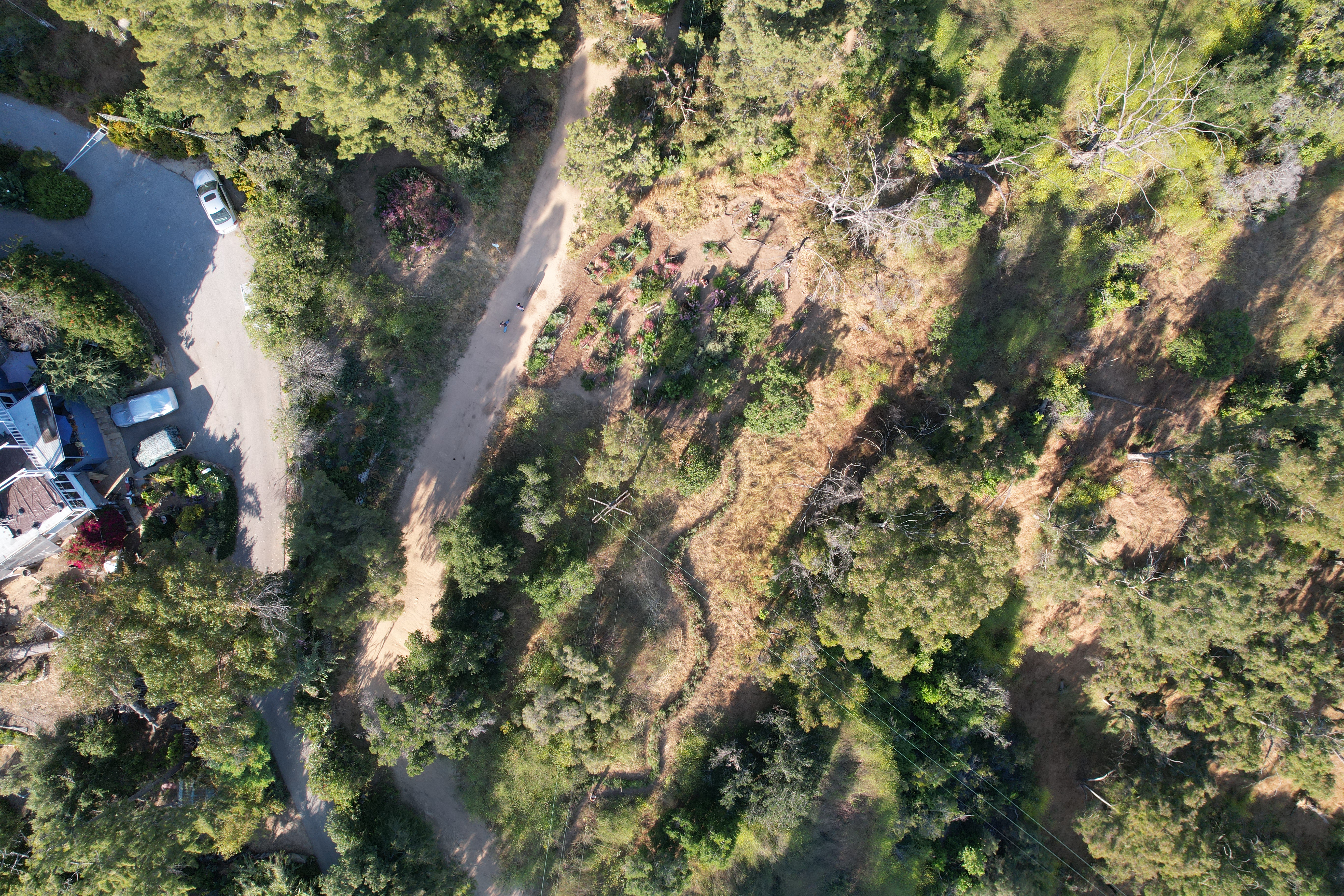 Here you can see the rainbow river leading into the deconstructed Plot 1 with the Seed plot to the left