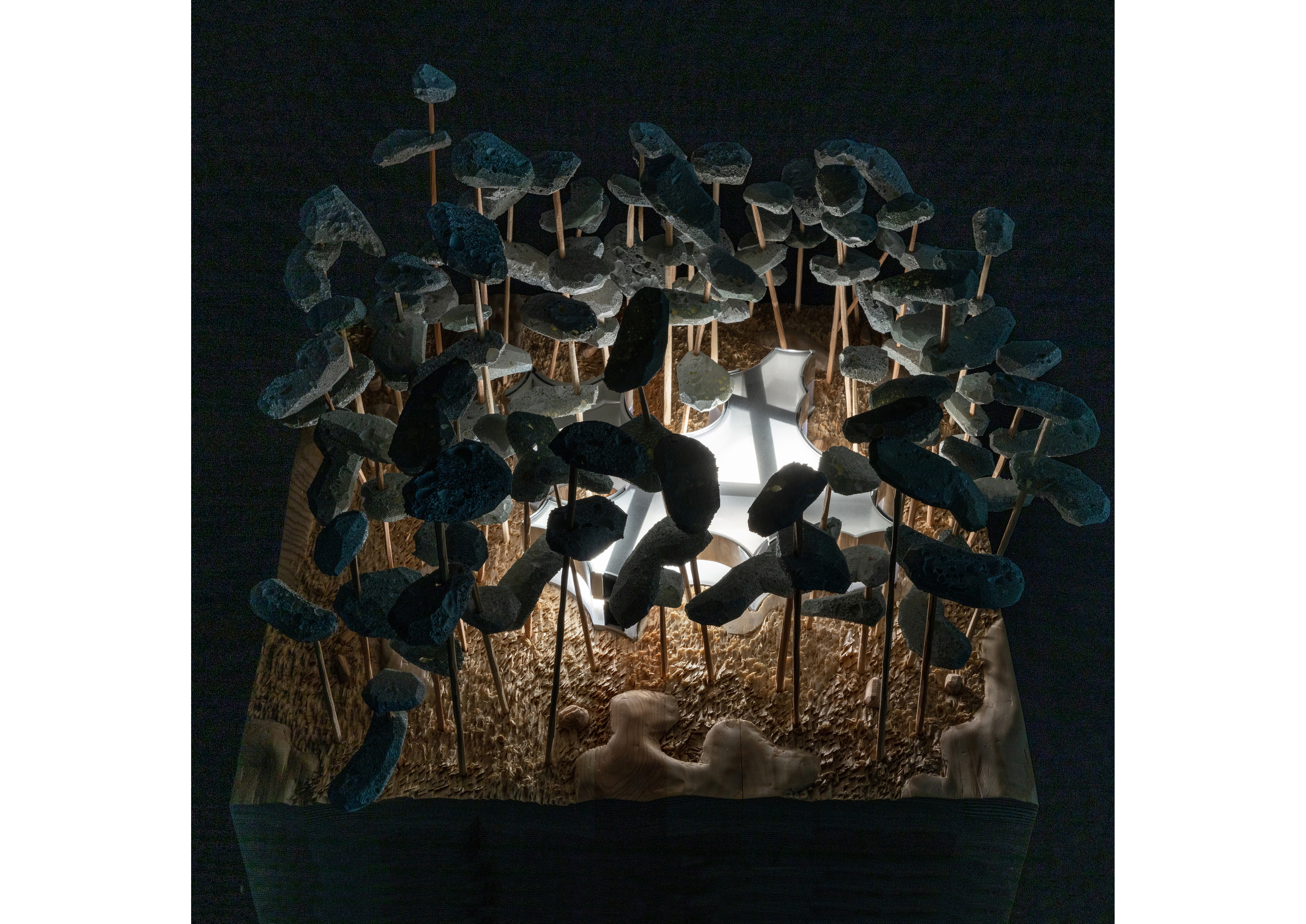 bygning i en furuskog. 2019