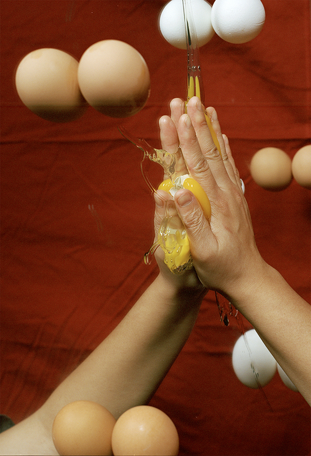 (Smashed Egg, 2016)