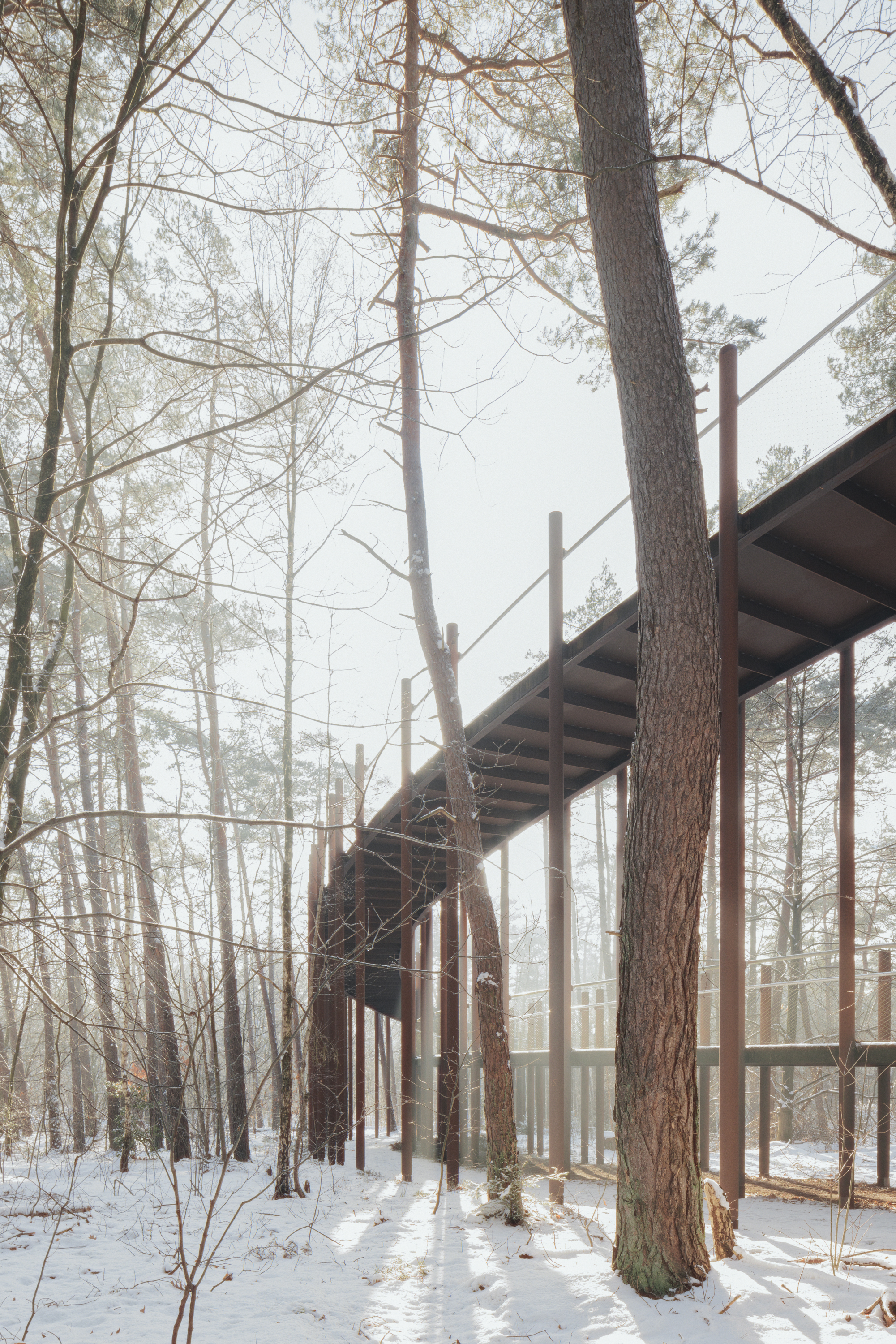 Fietsen door de bomen - BuroLandschap, Atelier Ensemble & De Gregorio & Partners