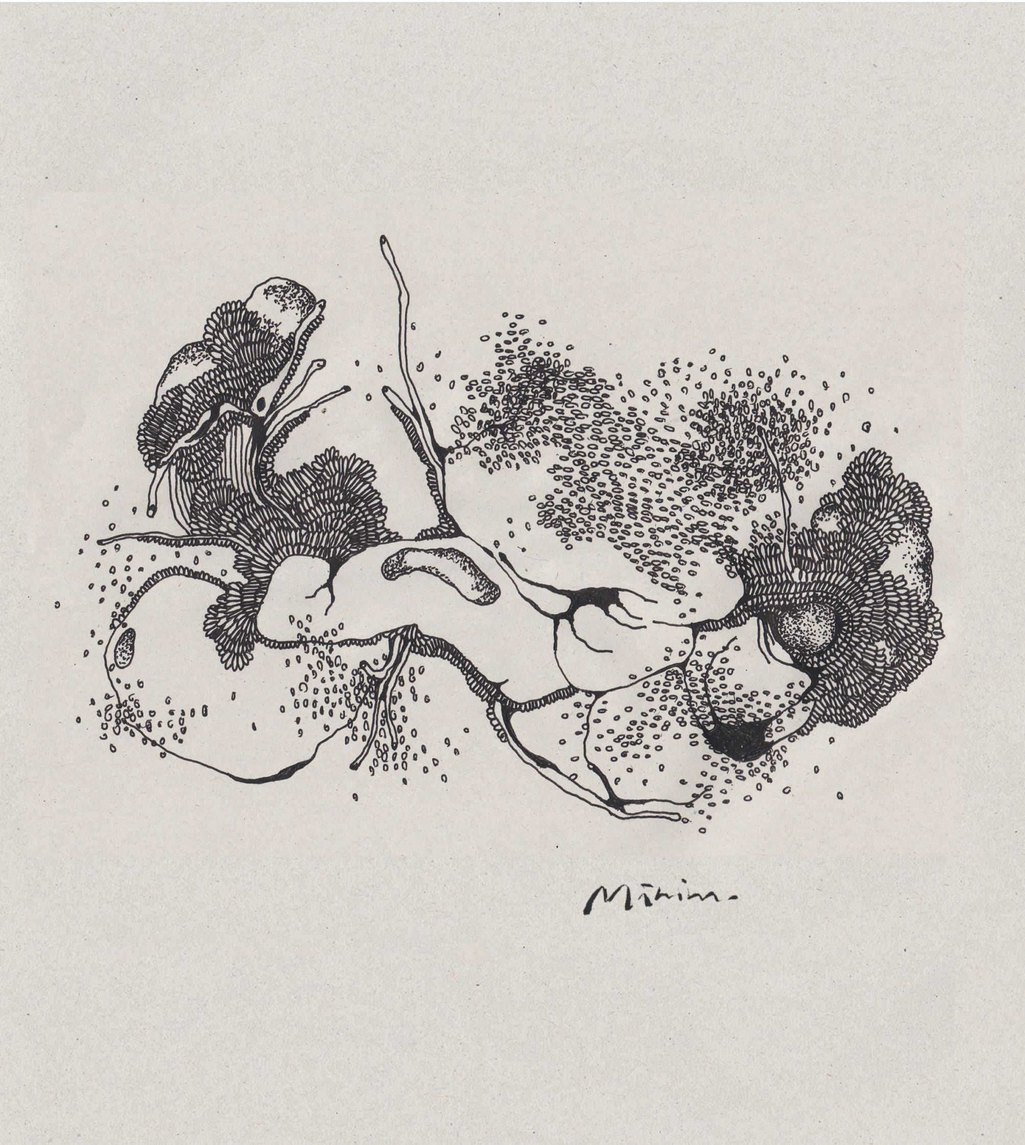 SELECTED FINALIST FOR MINIM X VERAISON WINE LABLE COMPETITION