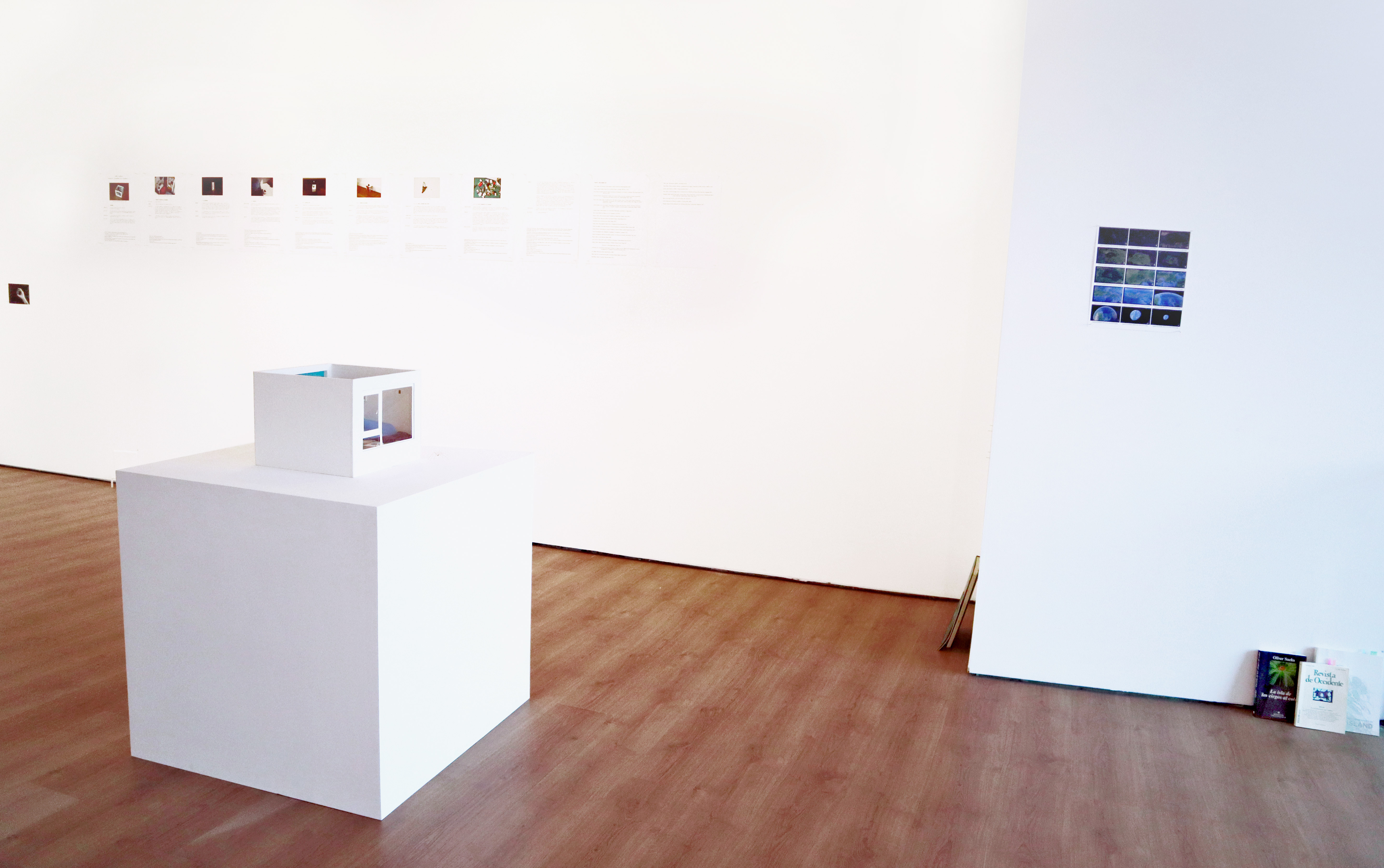 Dennise Vaccarello, Ídem de ídem