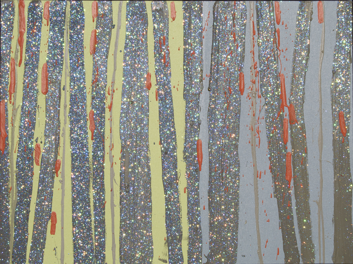  Circumstantial Evidence 6, 2008, oil on canvas with crystallina powder, 30x40in