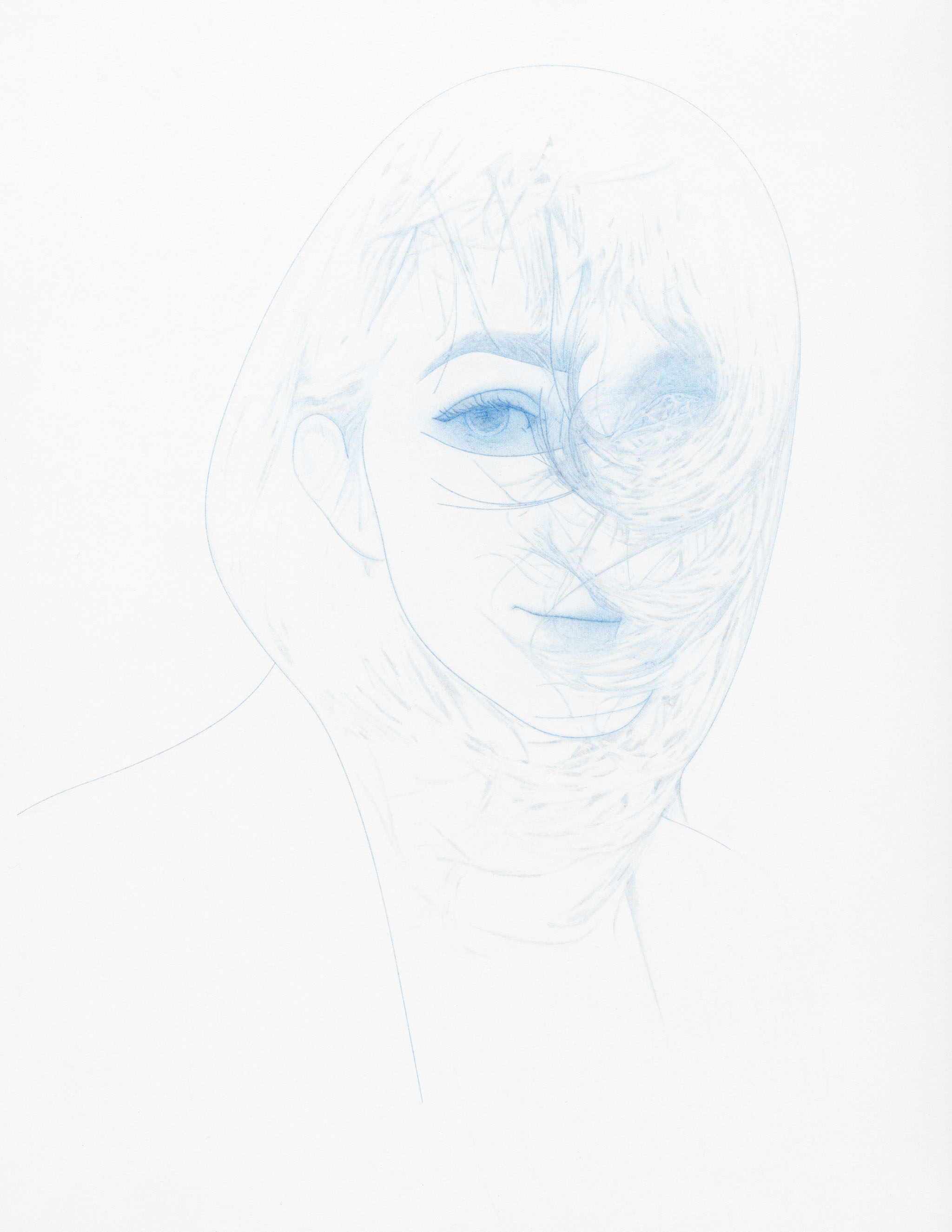 lucynordlinger 11x8.5 colored pencil on paper 2018