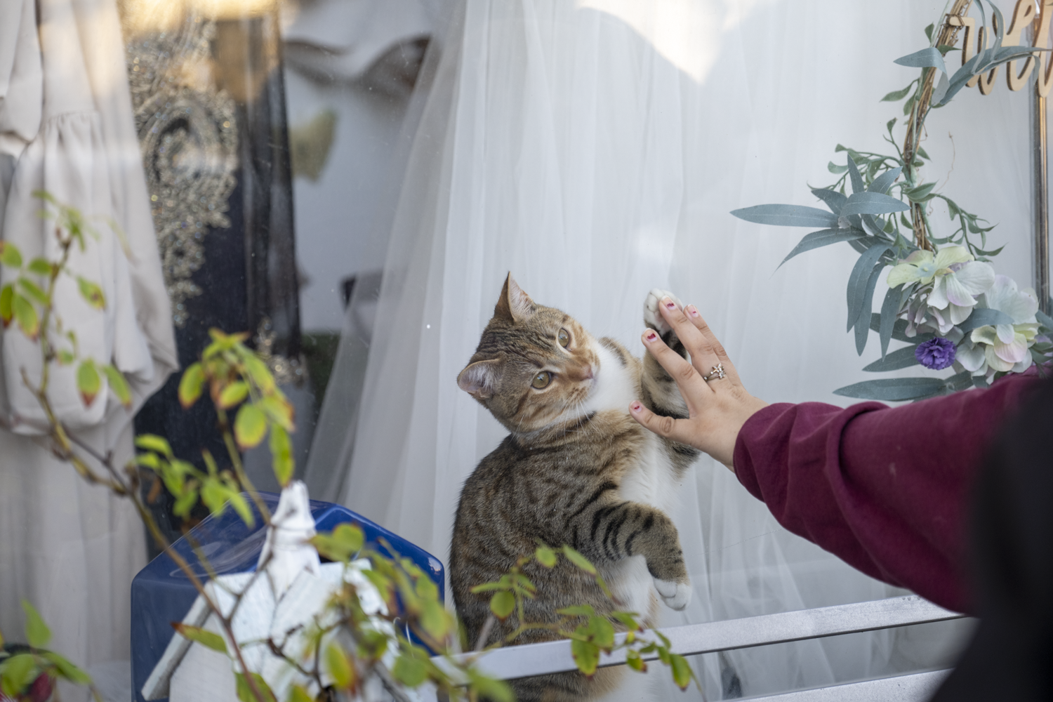 206 Parker Ave, Rodeo, CA 94572