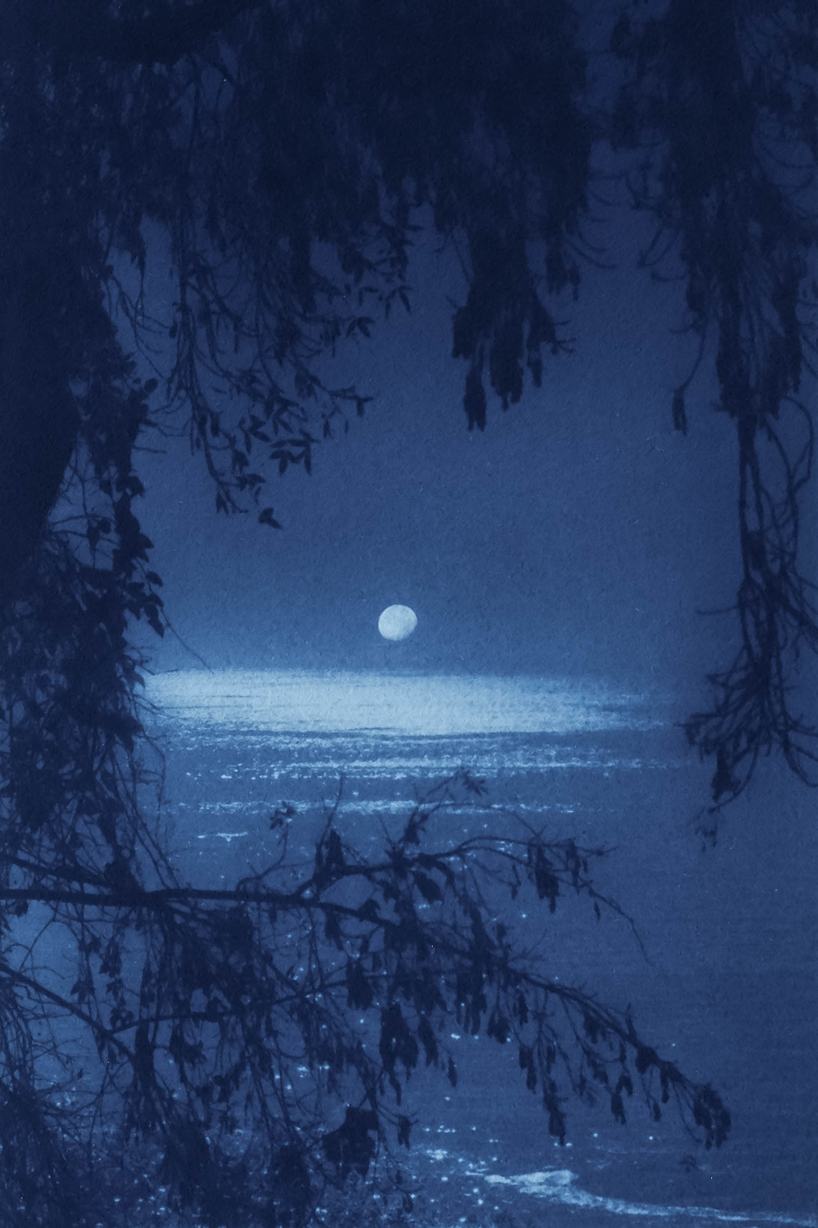 © Éléonore SIMON Le Bleu s'écrit sans bruit