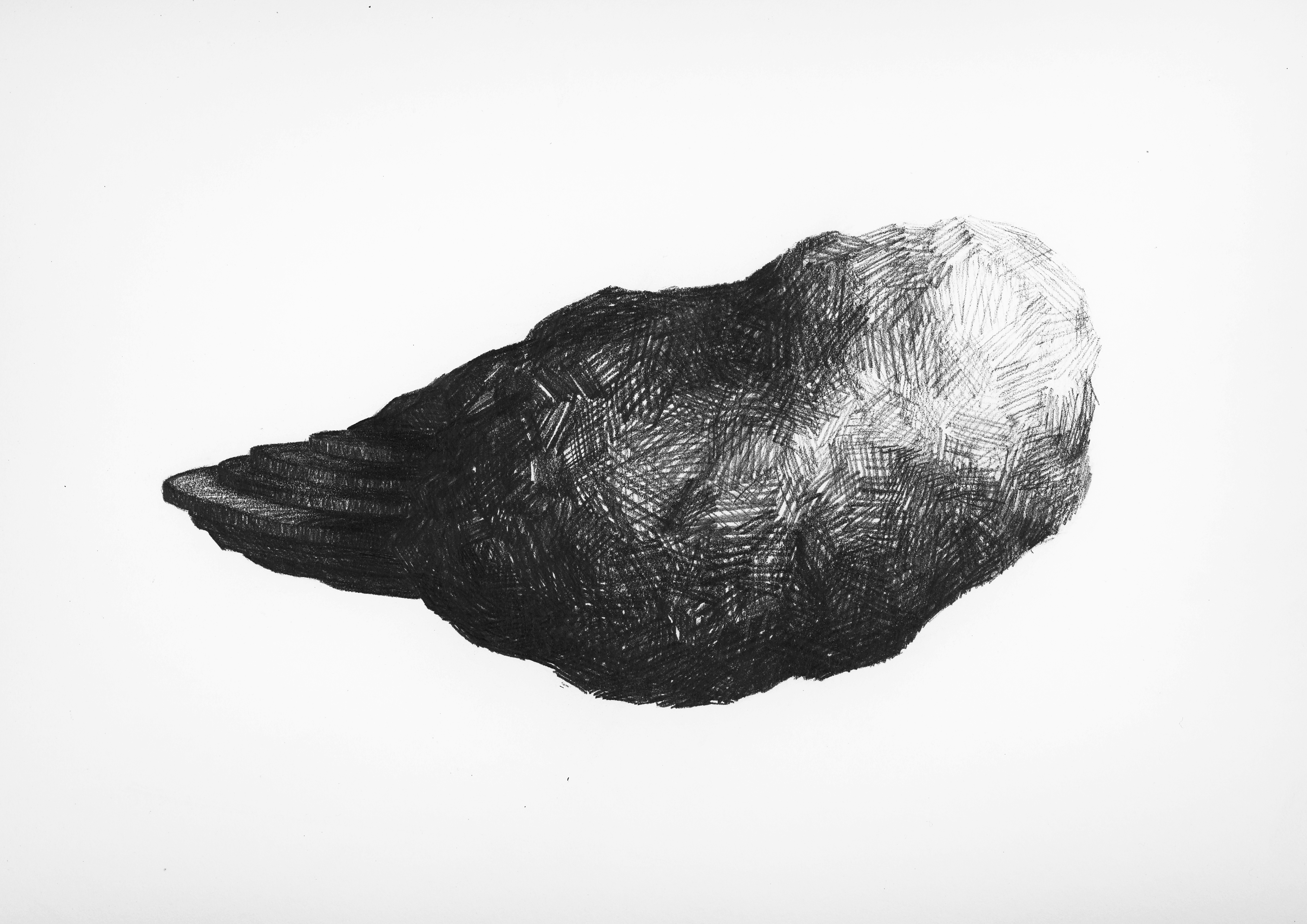 Cruise Lounge, 2010,  pencil on paper, 297x420mm, private collection