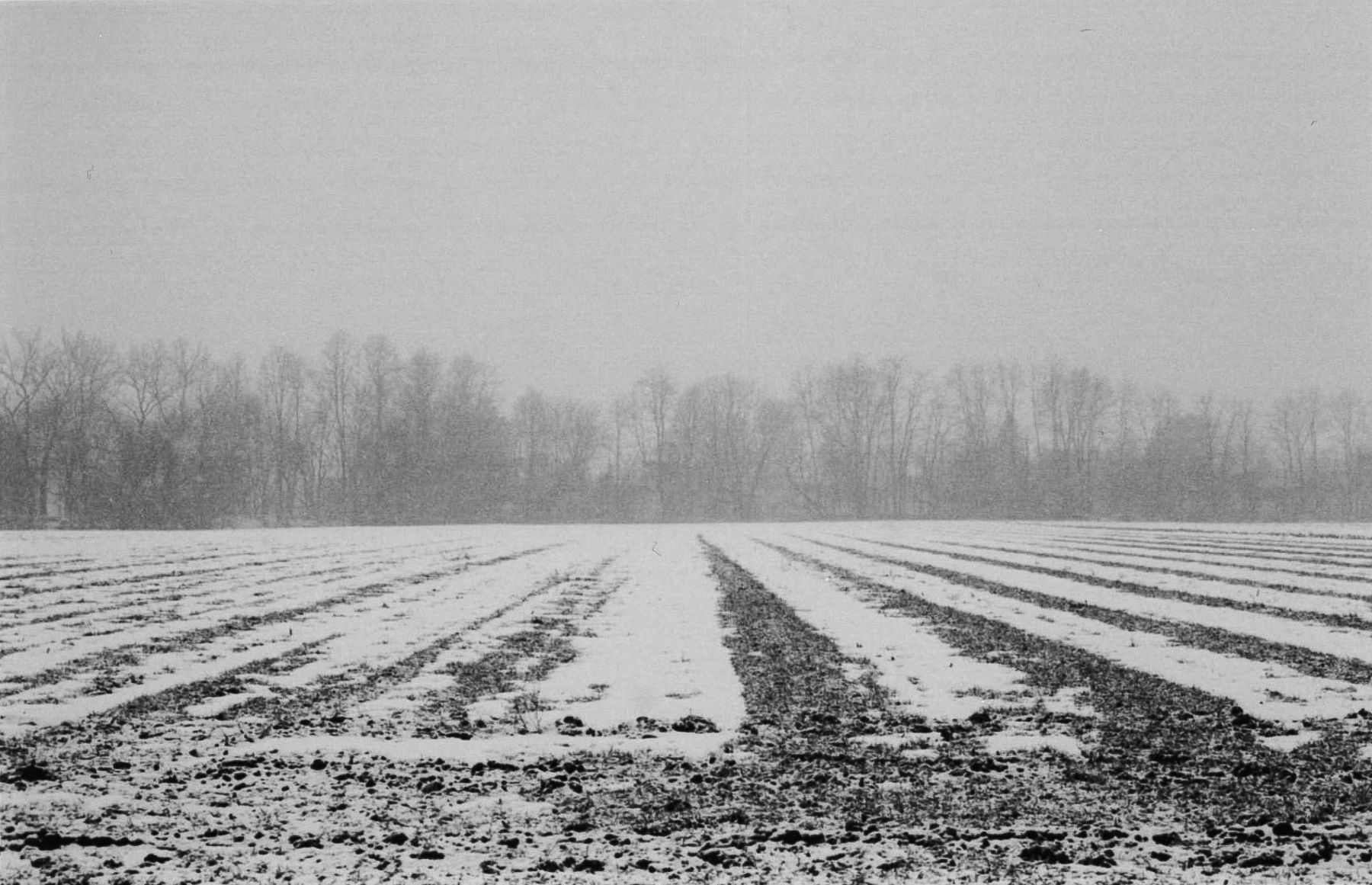 Hadley, Massachusetts