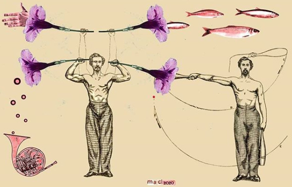 Maria Anna Ciemerych