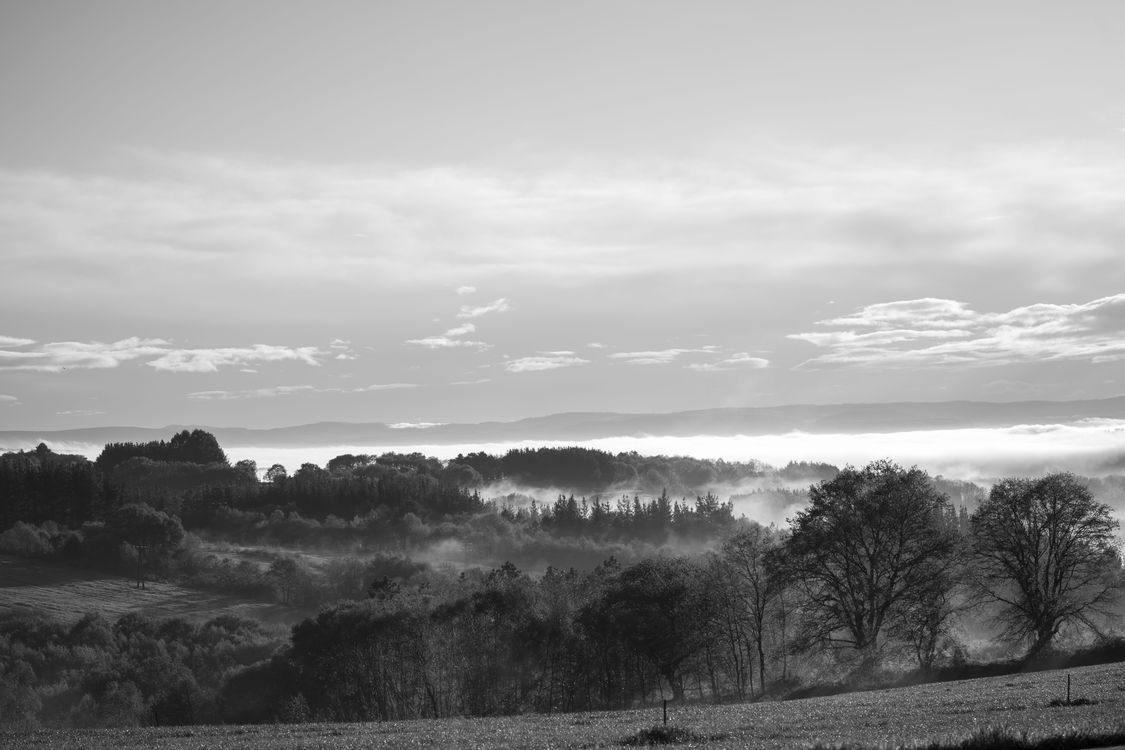 Galicia, 2019