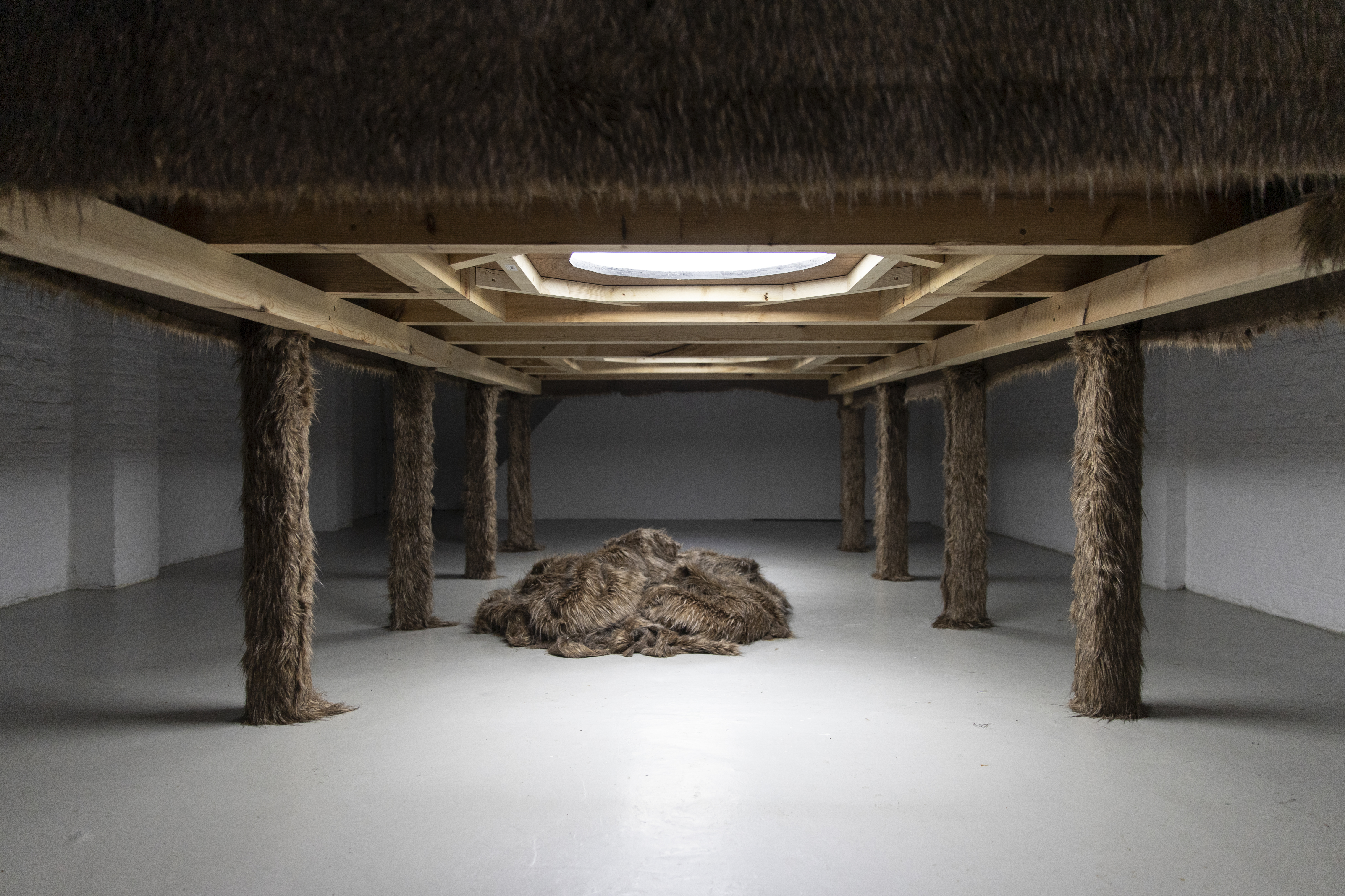 Installation by Bart Van Dijck at Base-ALpha Gallery