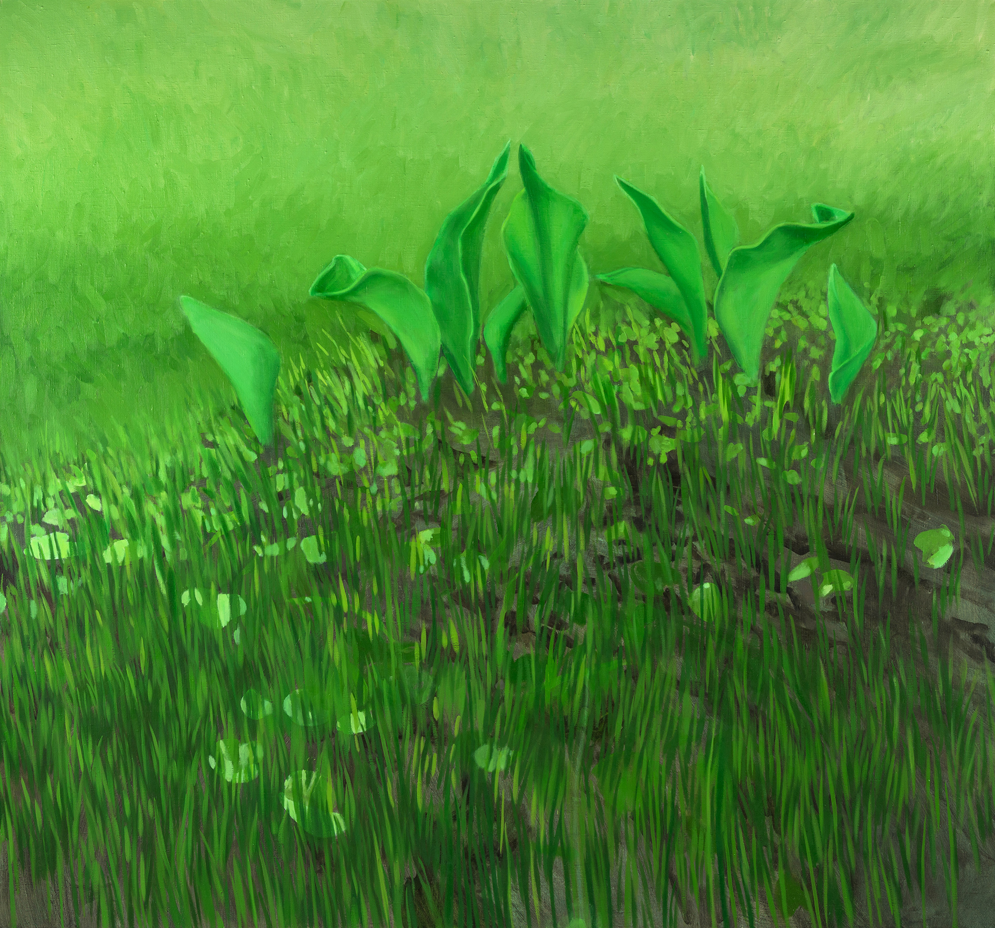 "Tulips" / "Tulbid"152 cm x 163 cm, oil and acrylic on canvas, 2015