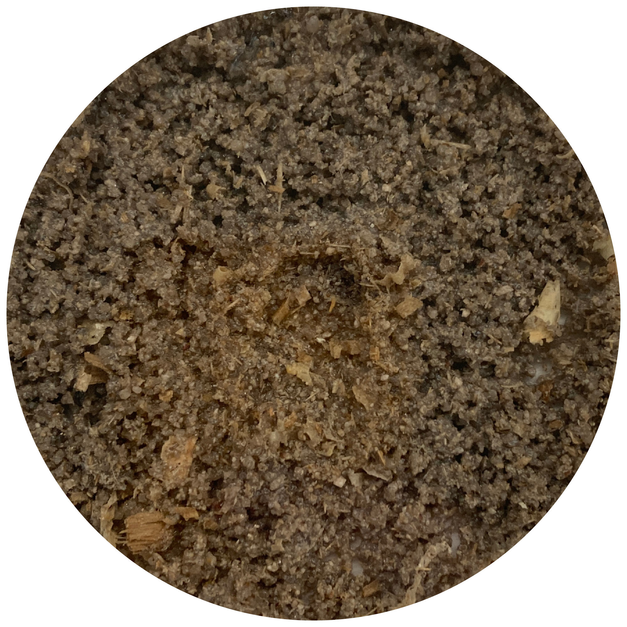 Kultur B, Agar/Sand/Ton/Holz-Substrat Wasser 2ML