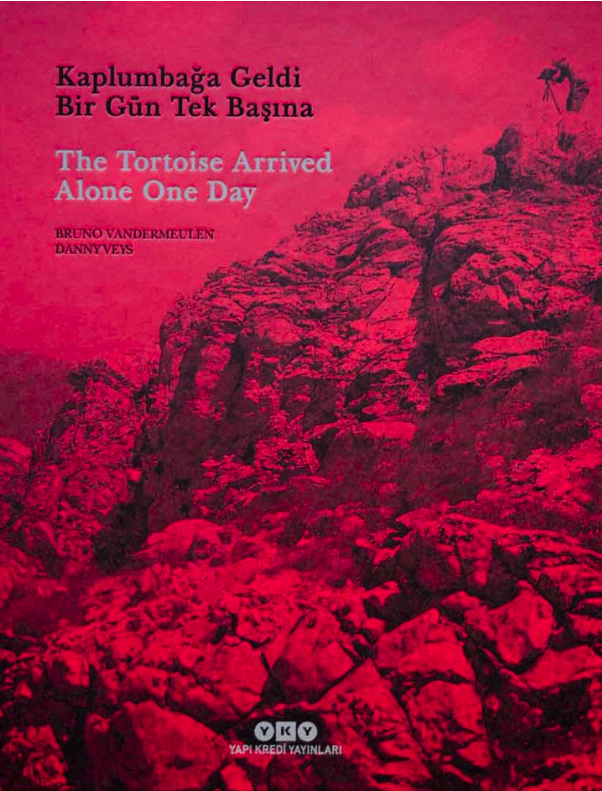 'The Tortoise Arrived Alone One Day', Judith Desmyttere (Yapi Kredi Publishing House 2022)