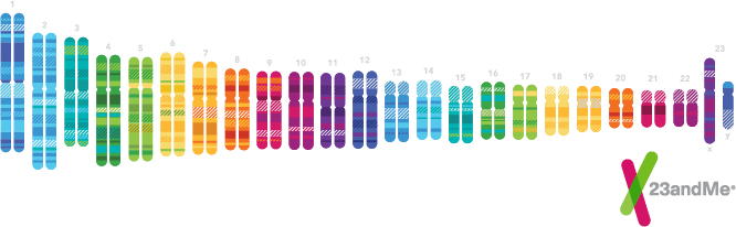 Original branding for the chromosomes