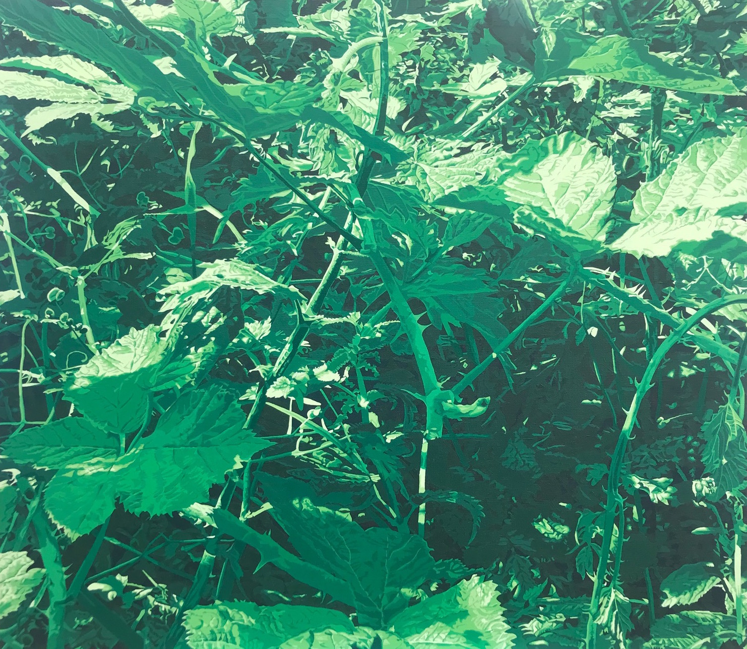 Spring Greens 2020 oil on linen 70x80cm (framed)