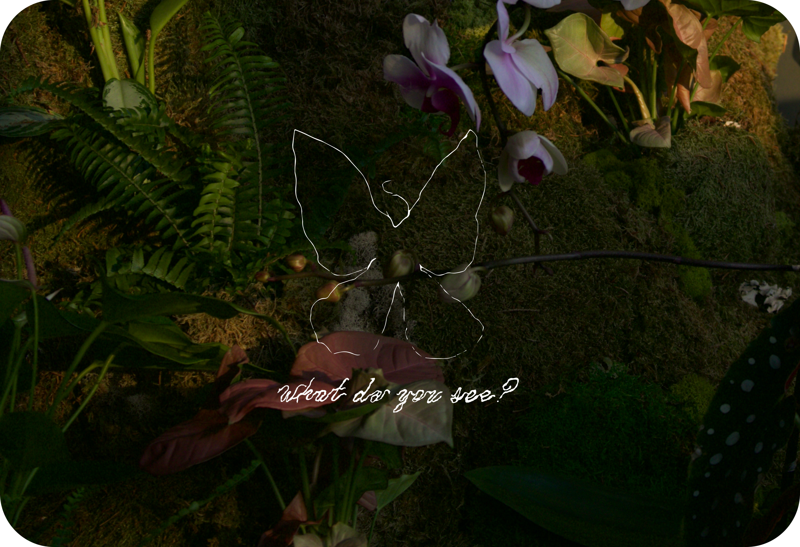 BFA CAPSTONE PROJECT: BIOPHILIA