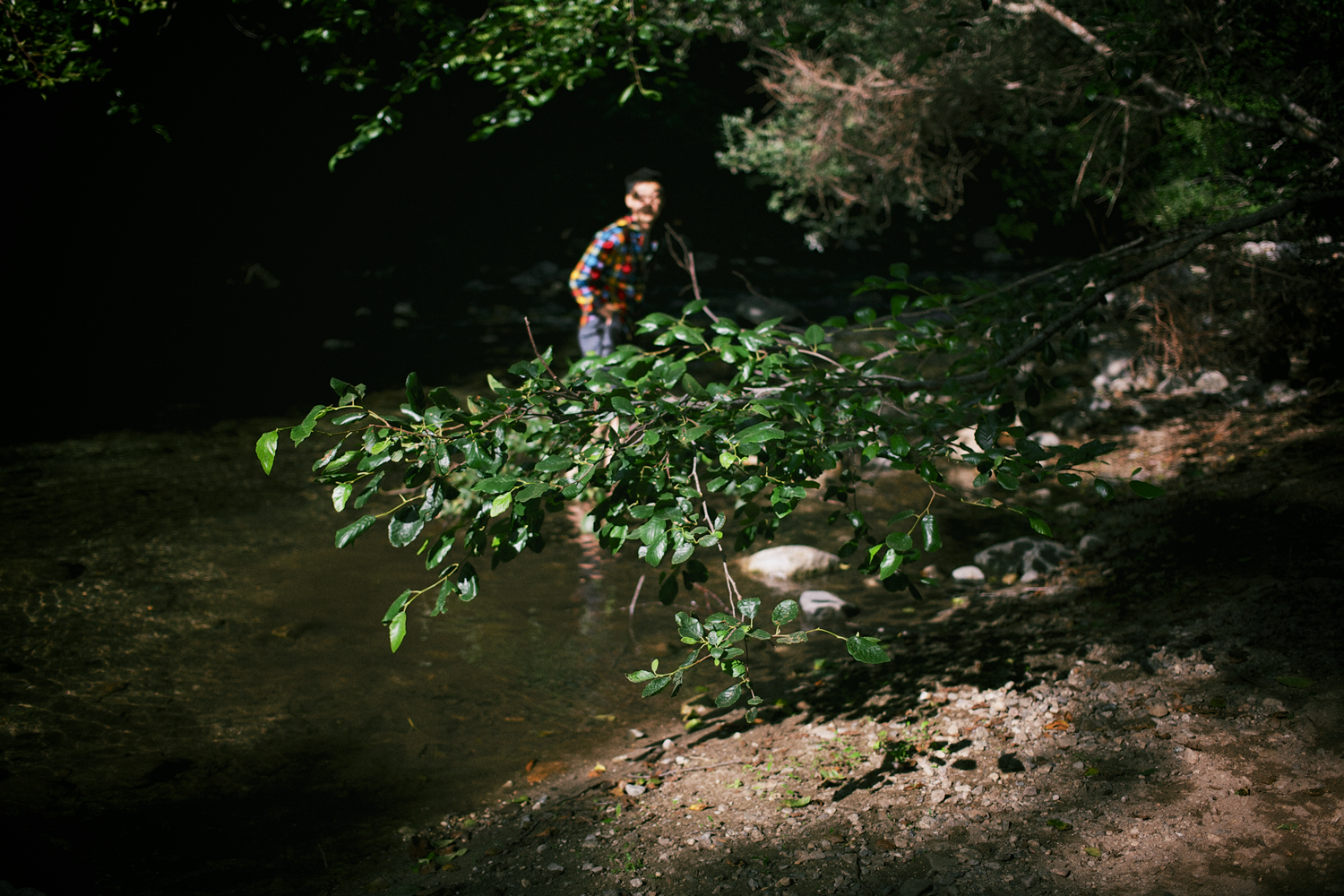 sighting, photograph 2012