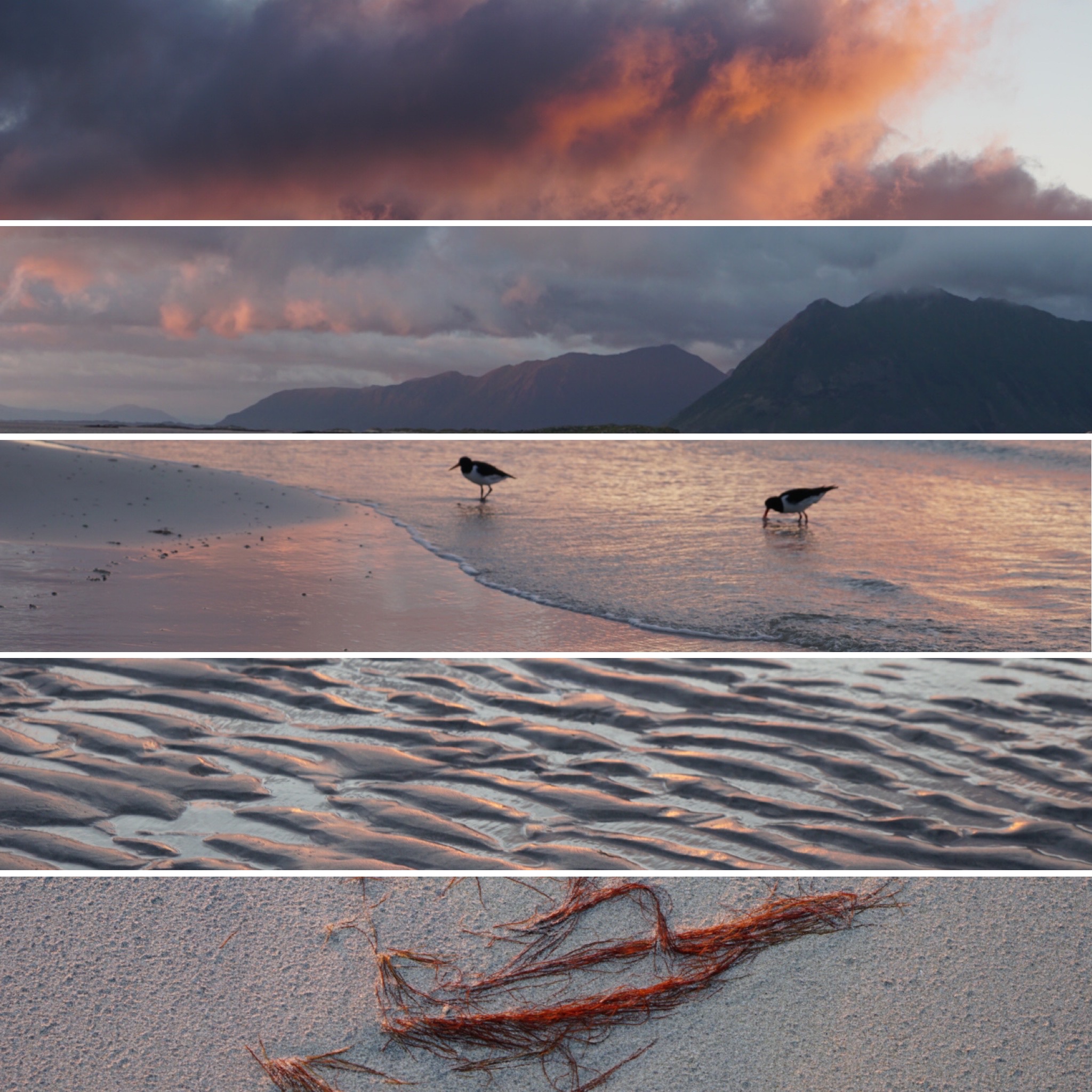 Lofoten Island, 08/'23