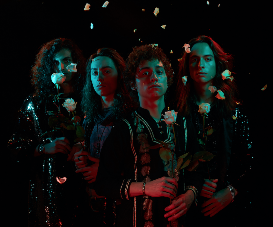 Greta van слушать. Greta van Fleet. Гр. Greta van Fleet. Концерт Greta van Fleet. From the Fires Greta van Fleet.