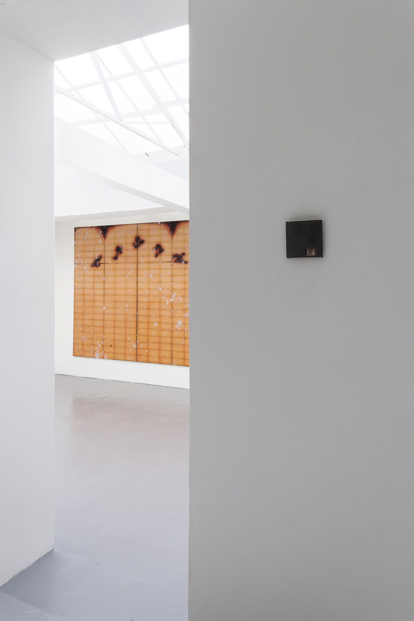 Governmental Fires, 2021 (Installation view)