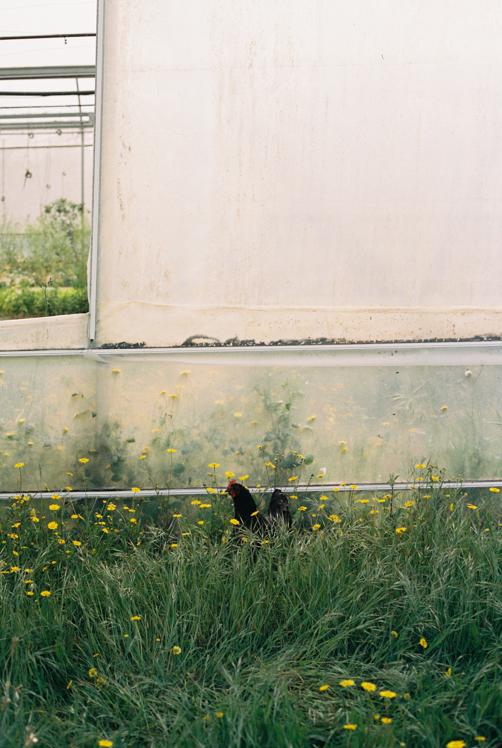 Vila Ca&iacute;zPhotography