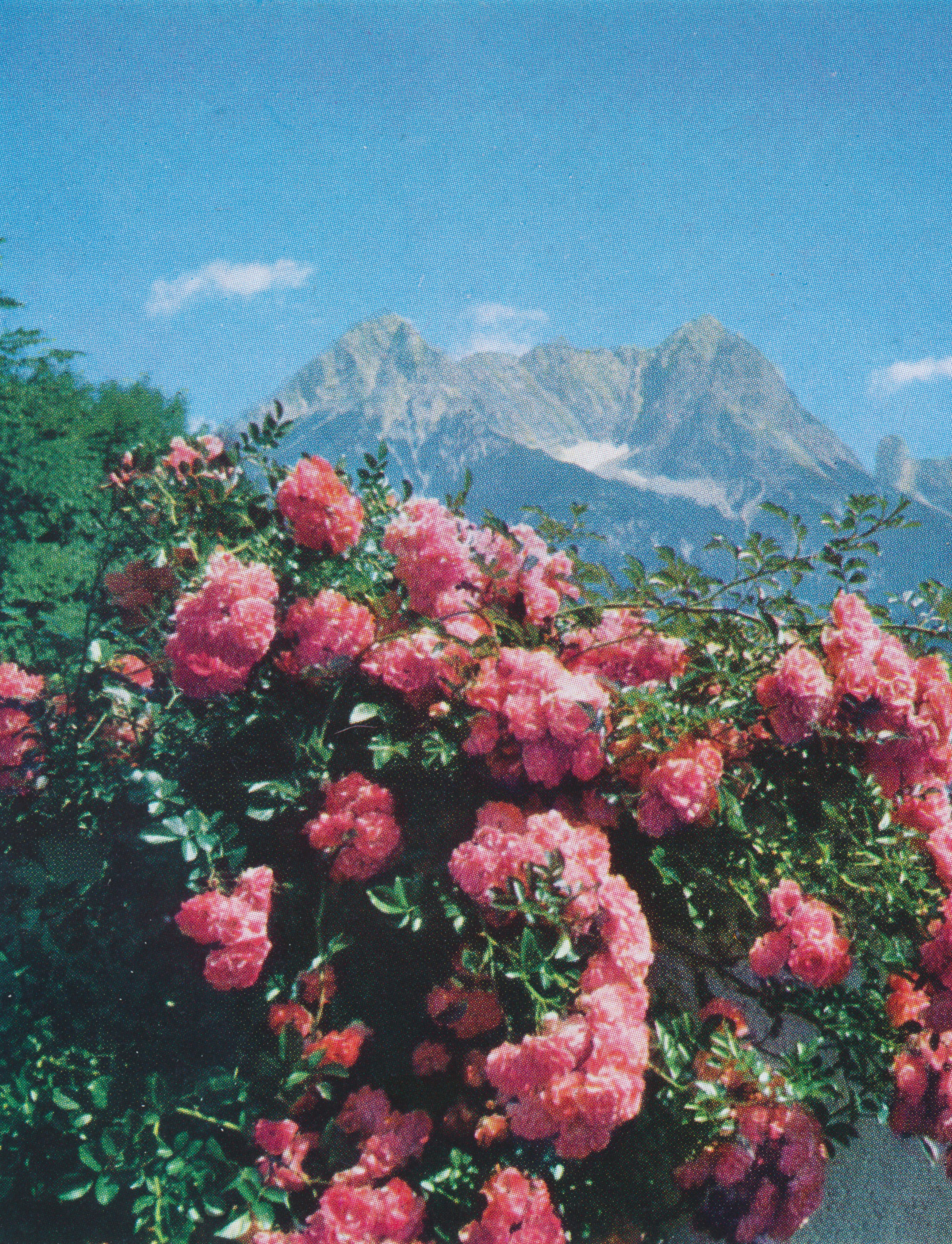 1/3 &mdash; UNDER FOOT