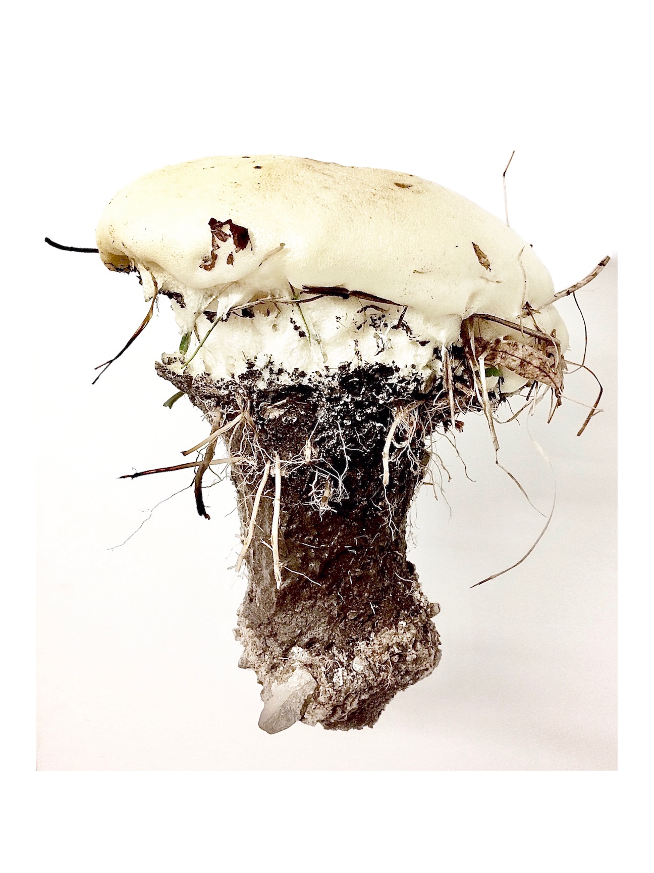 Untitled (Hole IV), 2019