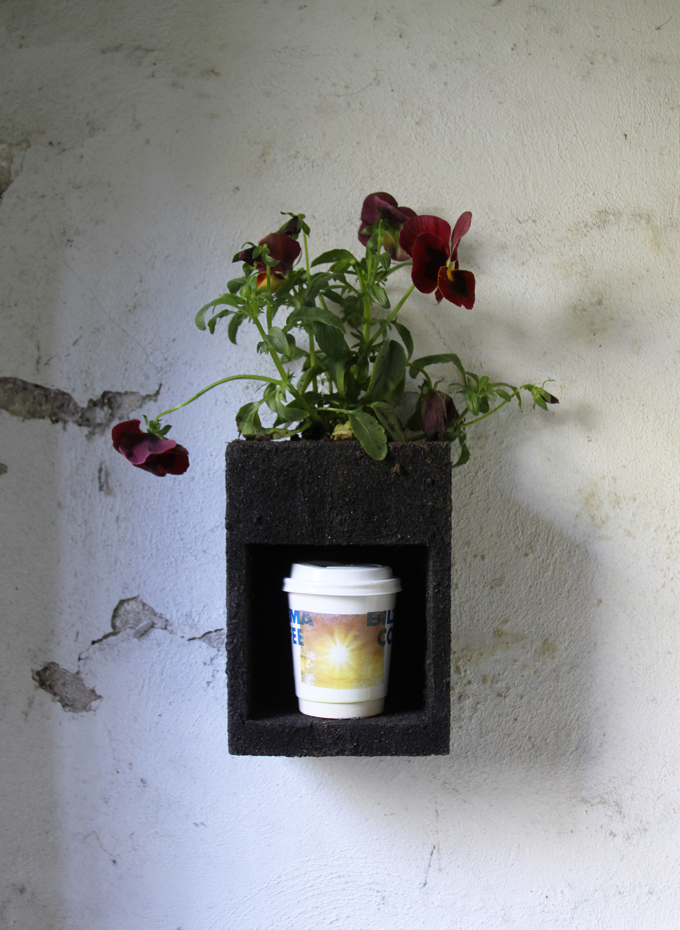compartment for a coffee cup and a planter, 2025,                 29cm x 14cm x 10 cm, coffee cup, image transfer, plant, soil, wood