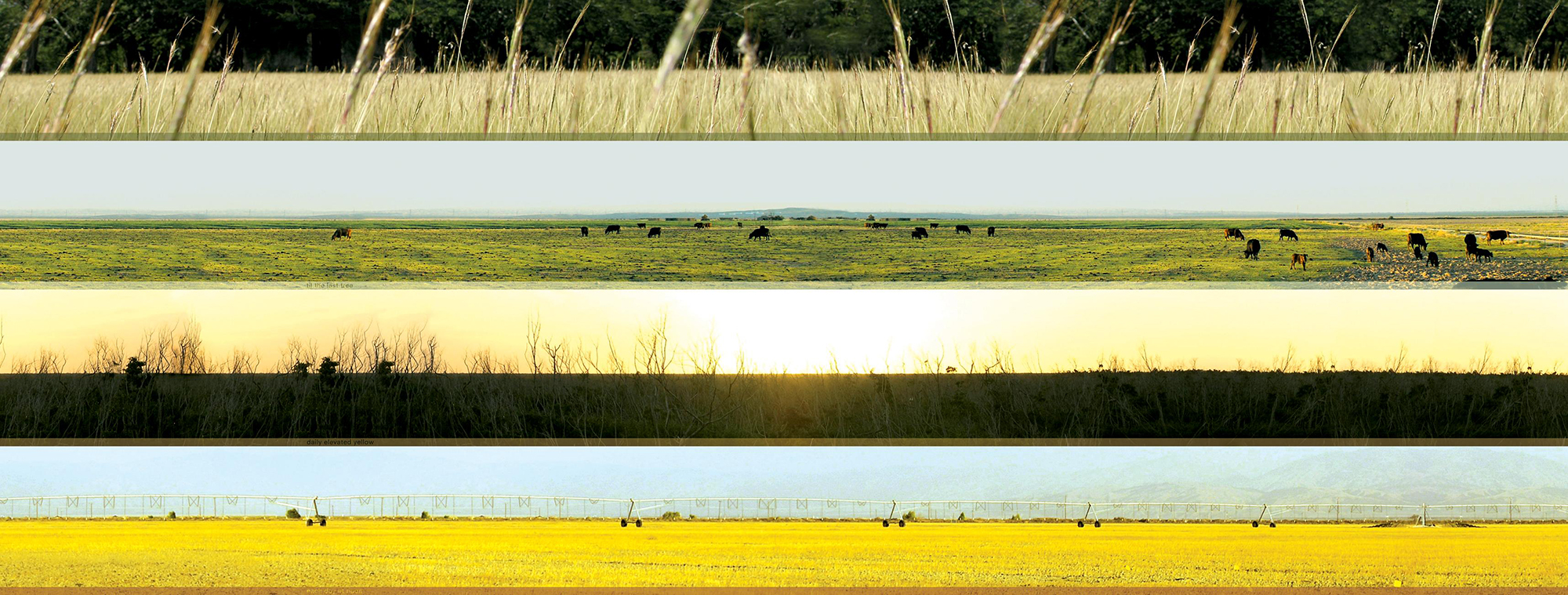 Homeland 3, Elevated Yellow, 2006; inkjet print and plexiglass, 15 x 40 x .5 inches.