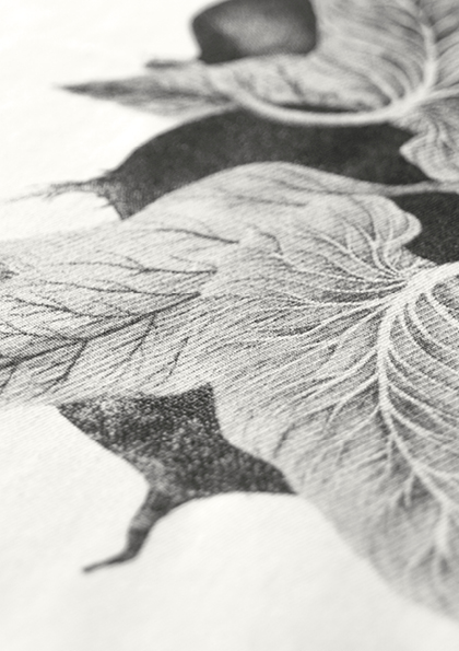 Tote bag ∙ Illustratie ∙ Zeefdruk